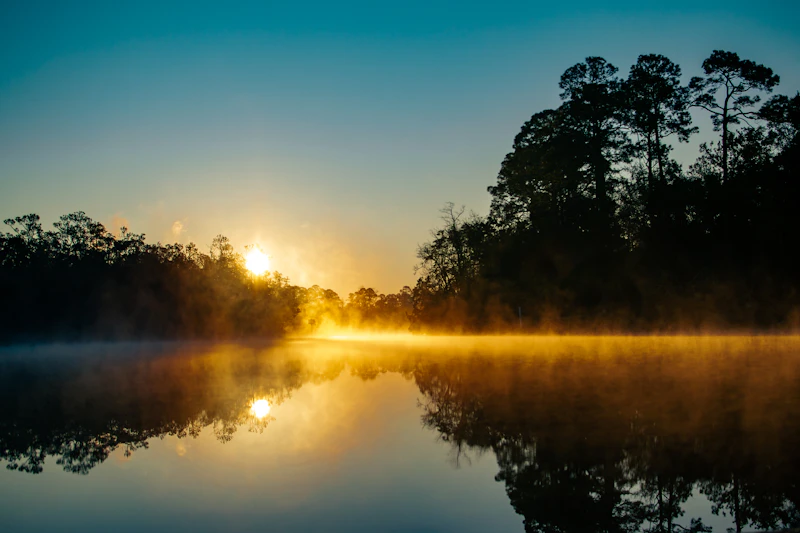 Coucher de soleil doré sur l'eau bordée d'arbres