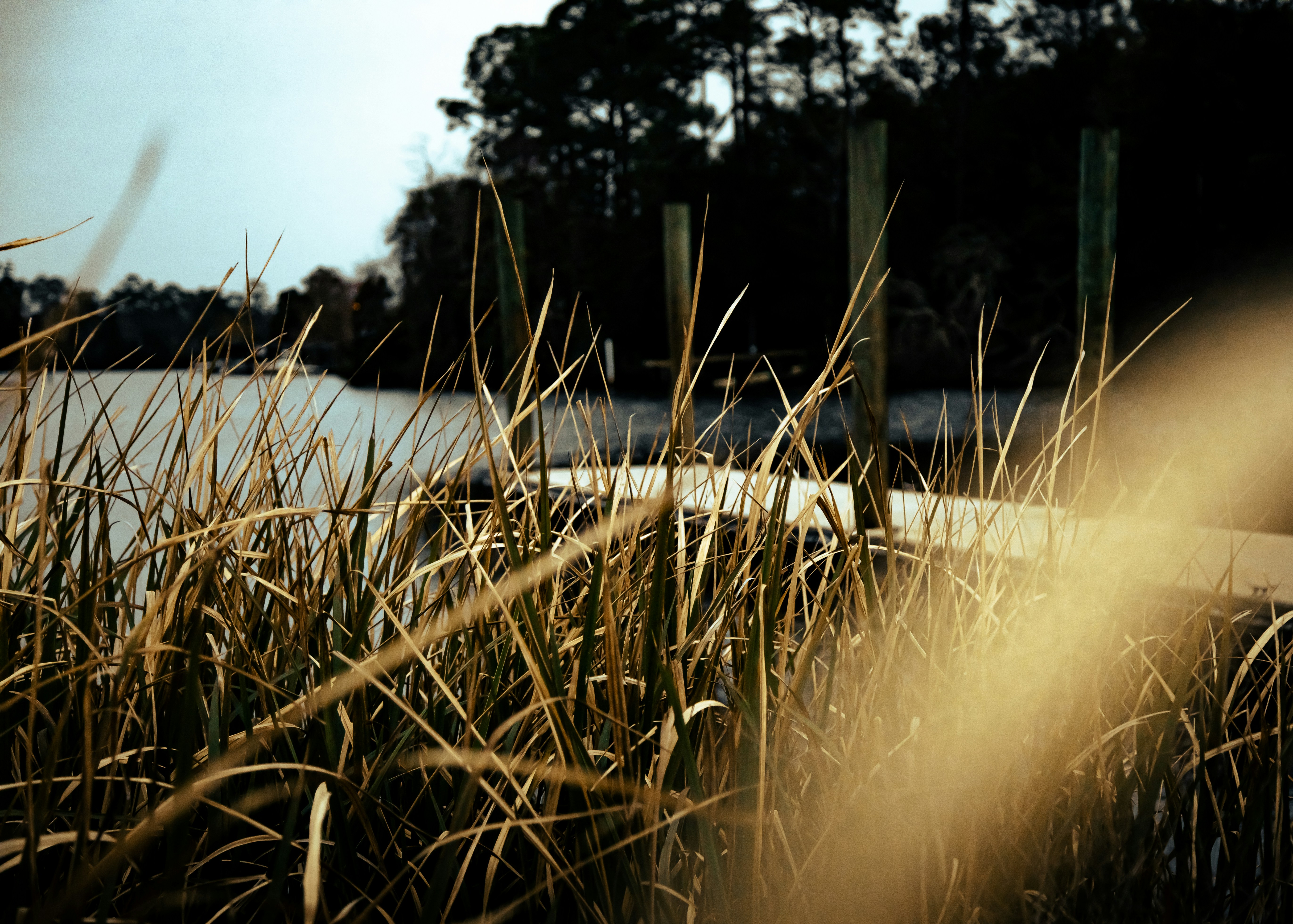 Photo by traviswalser