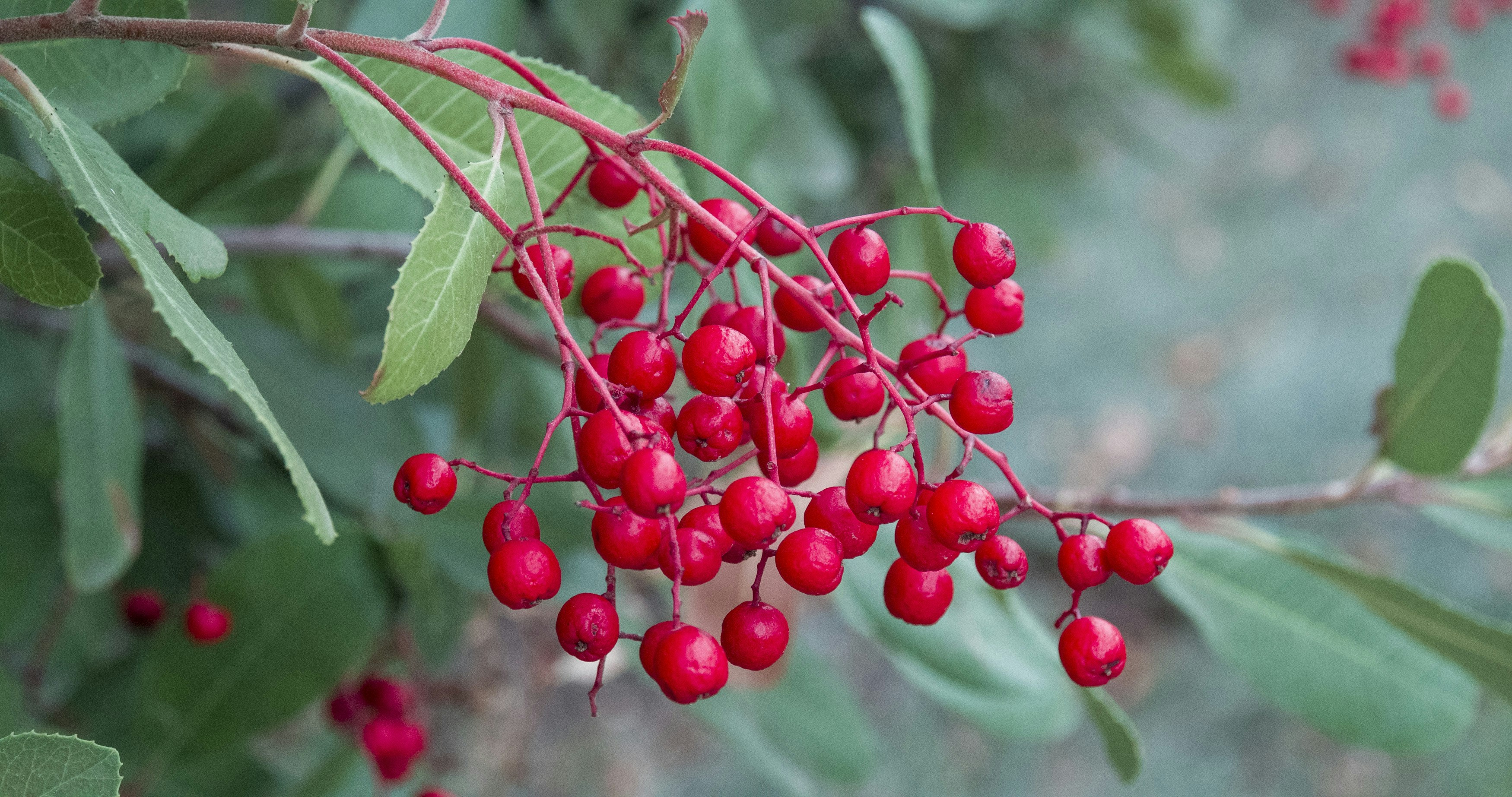 Photo by _nickwright_