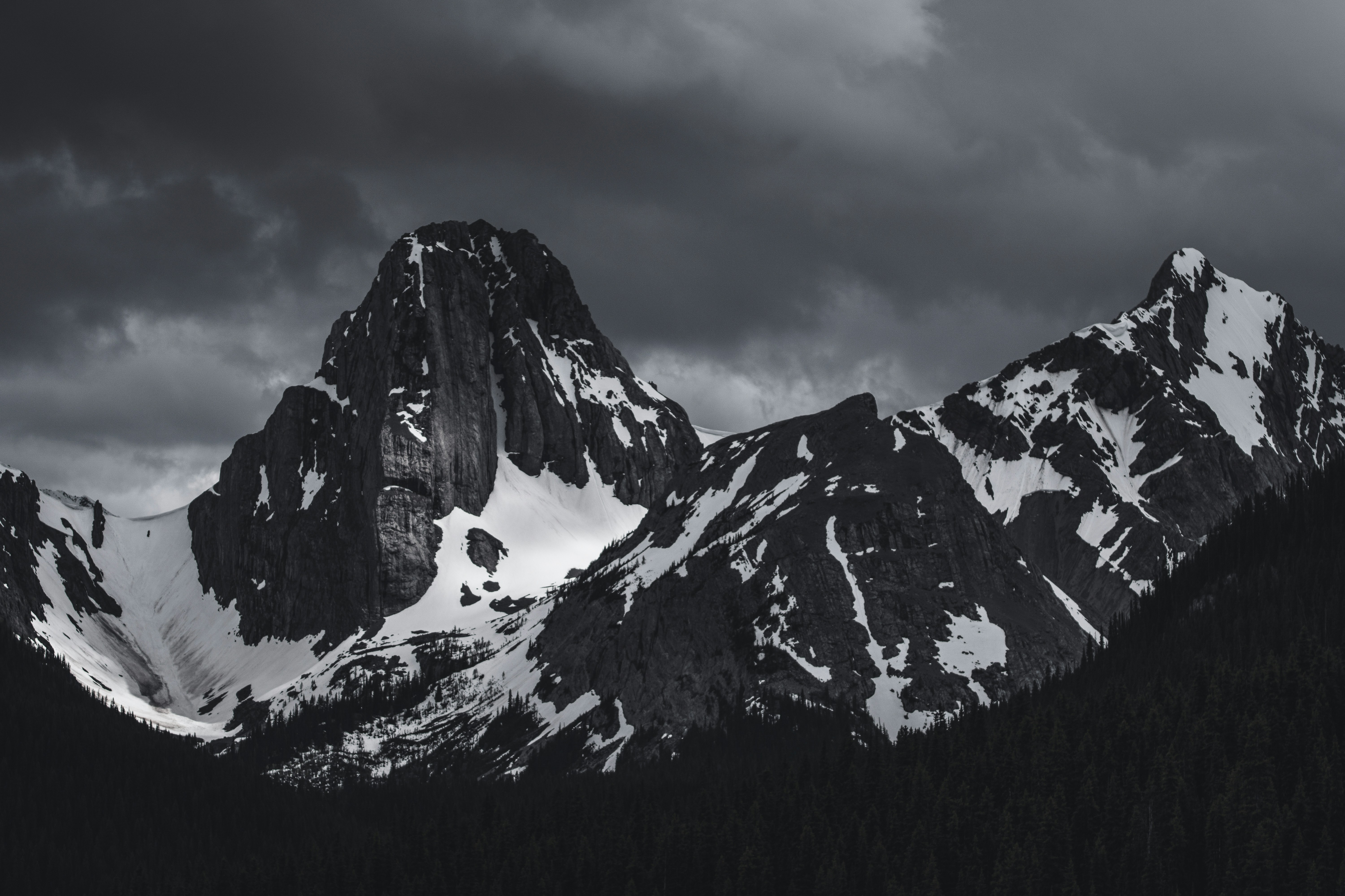 Photo by tfrankcreations