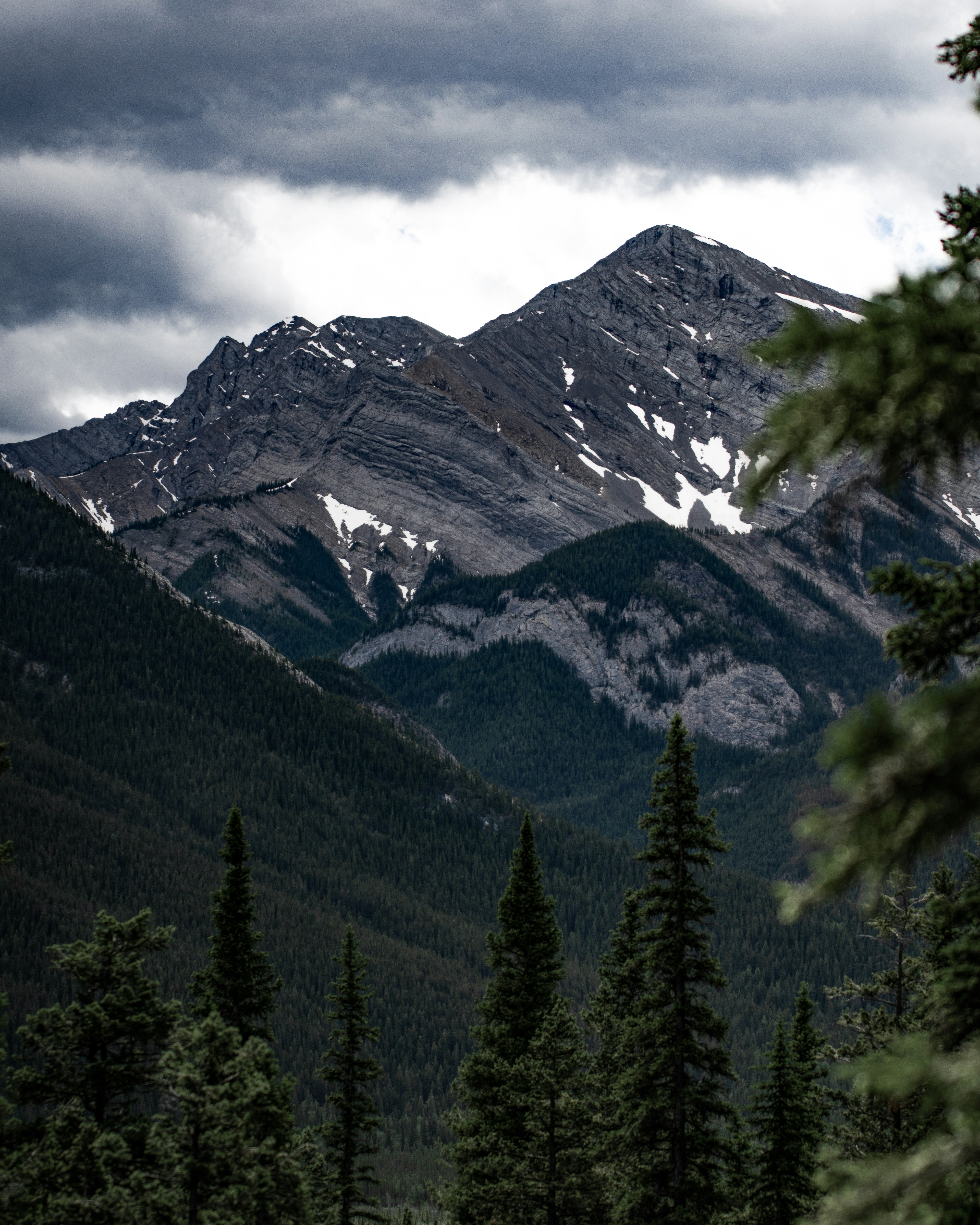 Photo by tfrankcreations