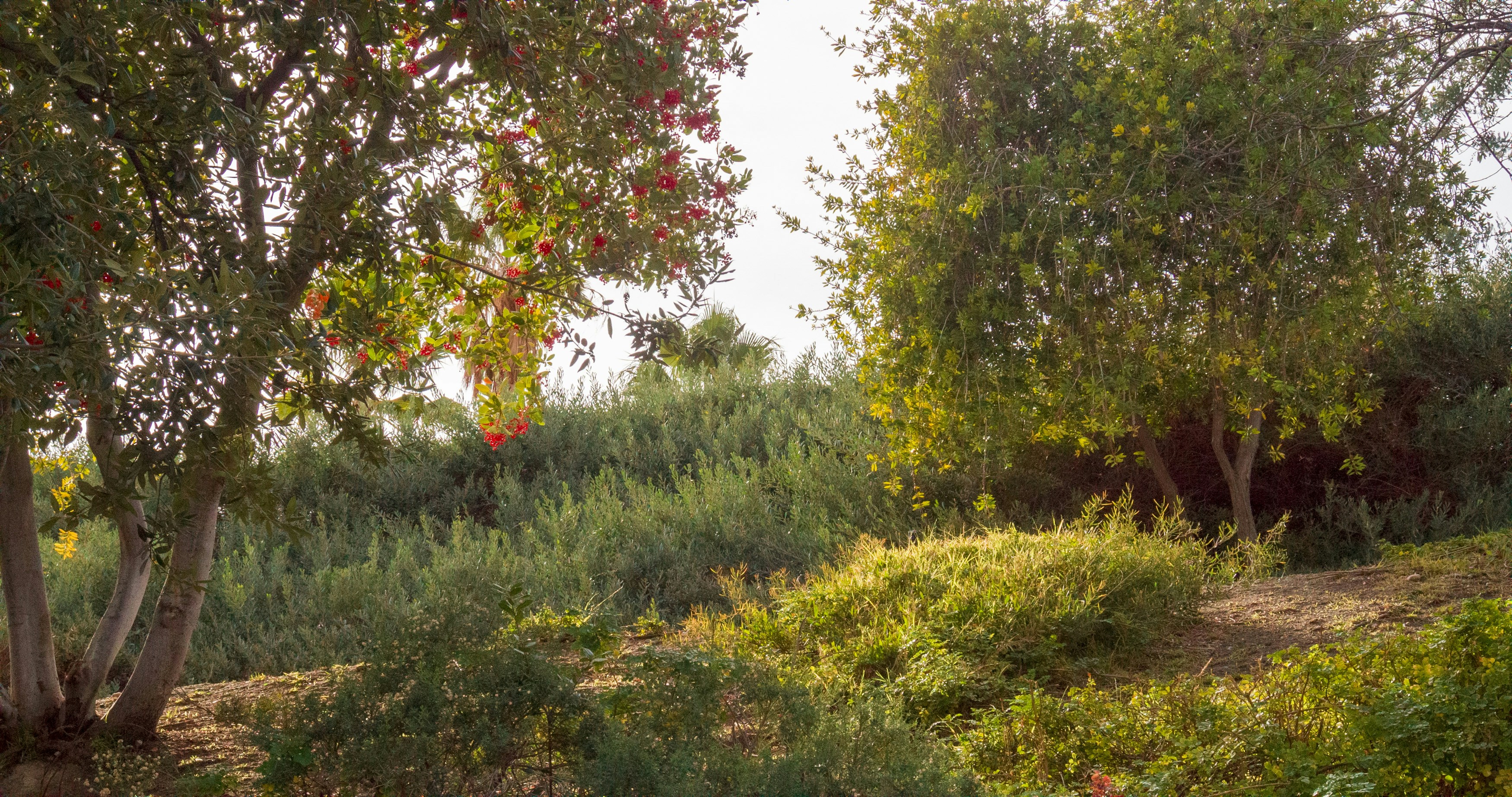 Photo by _nickwright_