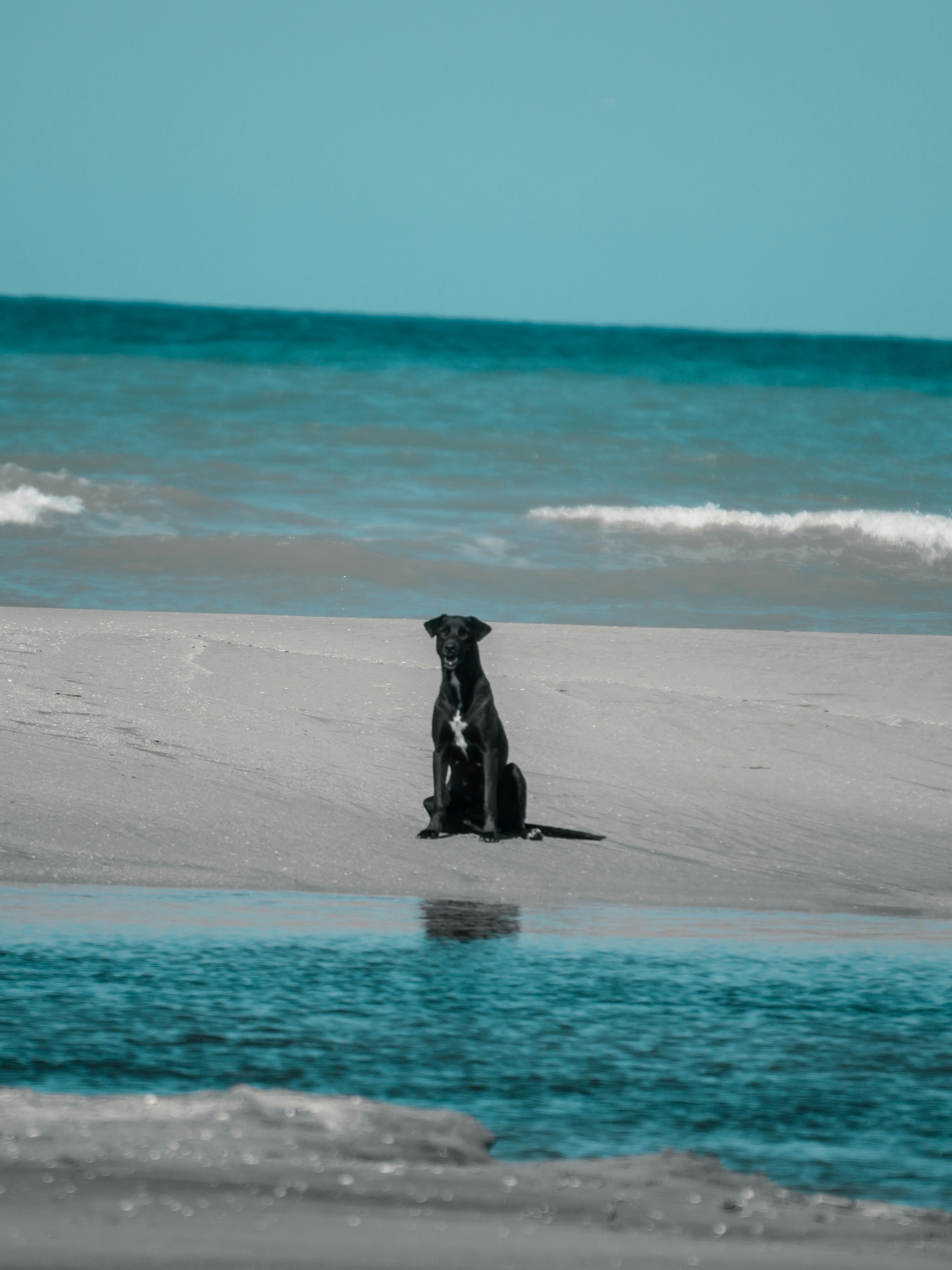 Photo by jmlopezrestrepo