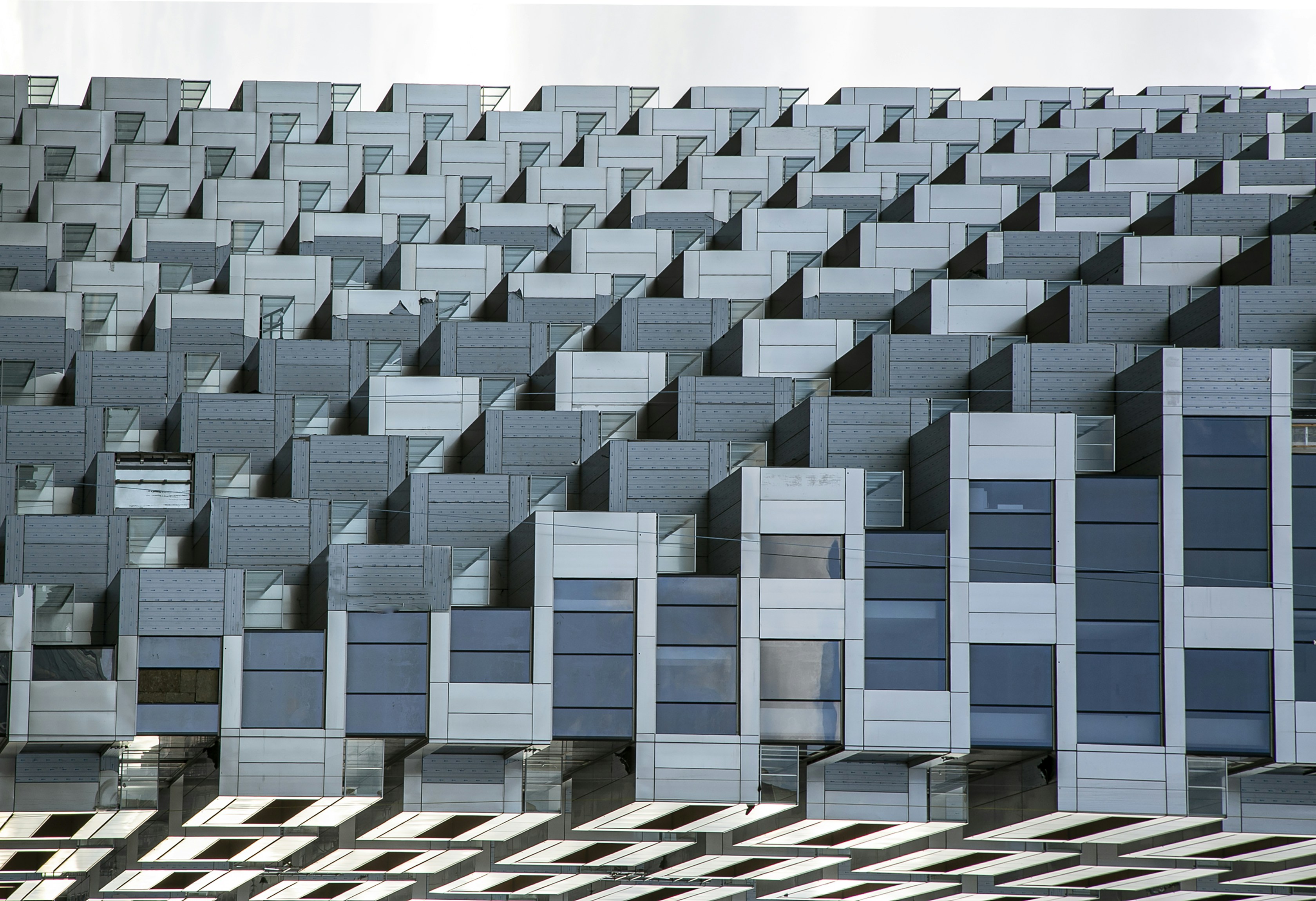 Photo by elviraobutler