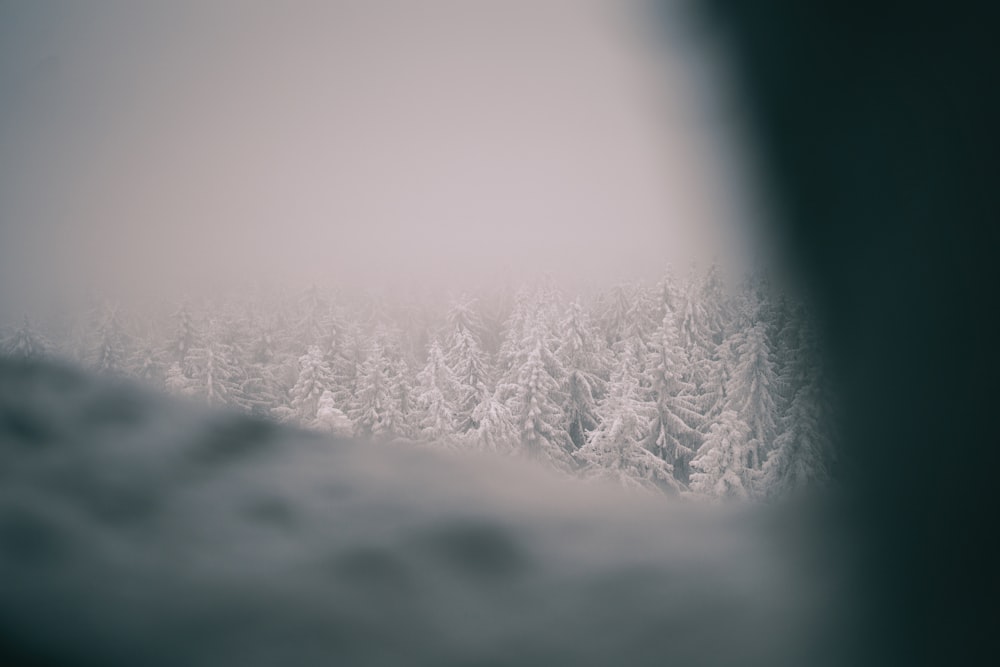 white snow on green grass