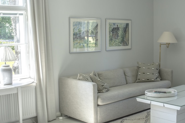 A bright living room featuring a freshly cleaned sofa.