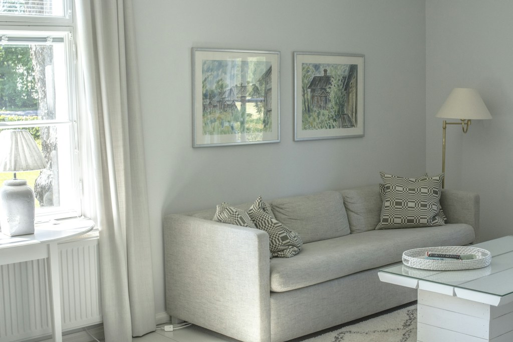 Sofas & Furniture