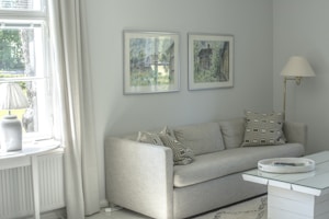 Sofas & Furniture