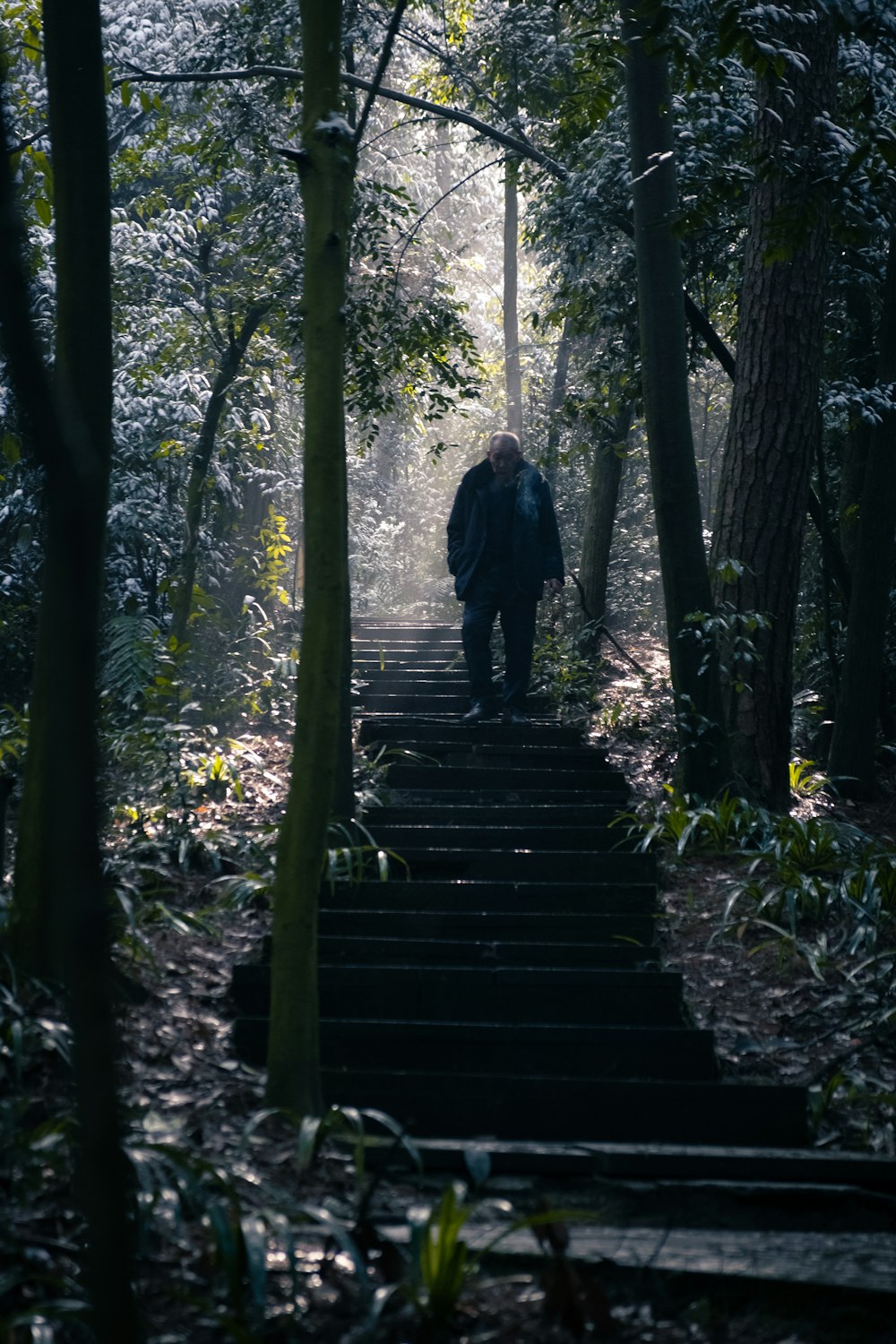 man in black jacket walking on wooden bridge