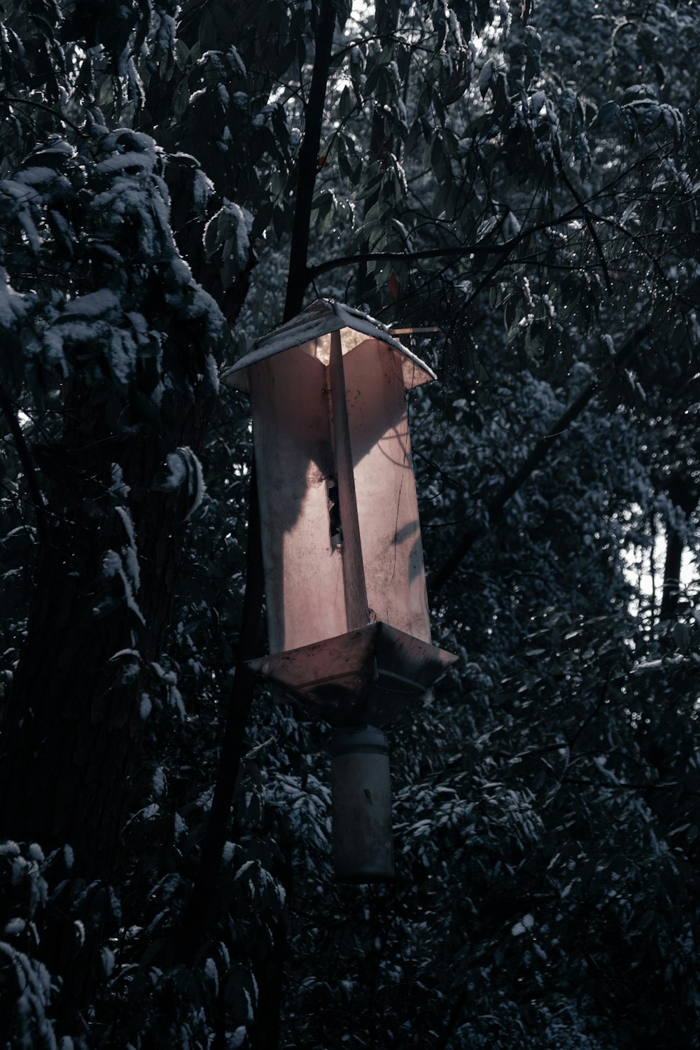 brown wooden bird house near tree