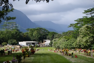 A peaceful cemetery surrounded by lush greenery and colorful flowers arranged on the graves. Mountains rise in the background under a cloudy sky, adding a sense of grandeur to the scene. There are buildings situated at the edge of the cemetery, partially hidden by the trees.