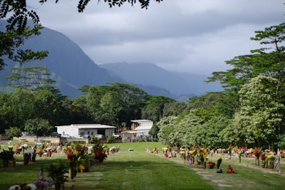 Peaceful cemetery plot surrounded by lush greenery and blooming flowers