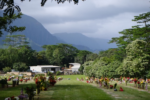 A peaceful cemetery surrounded by lush greenery and colorful flowers arranged on the graves. Mountains rise in the background under a cloudy sky, adding a sense of grandeur to the scene. There are buildings situated at the edge of the cemetery, partially hidden by the trees.