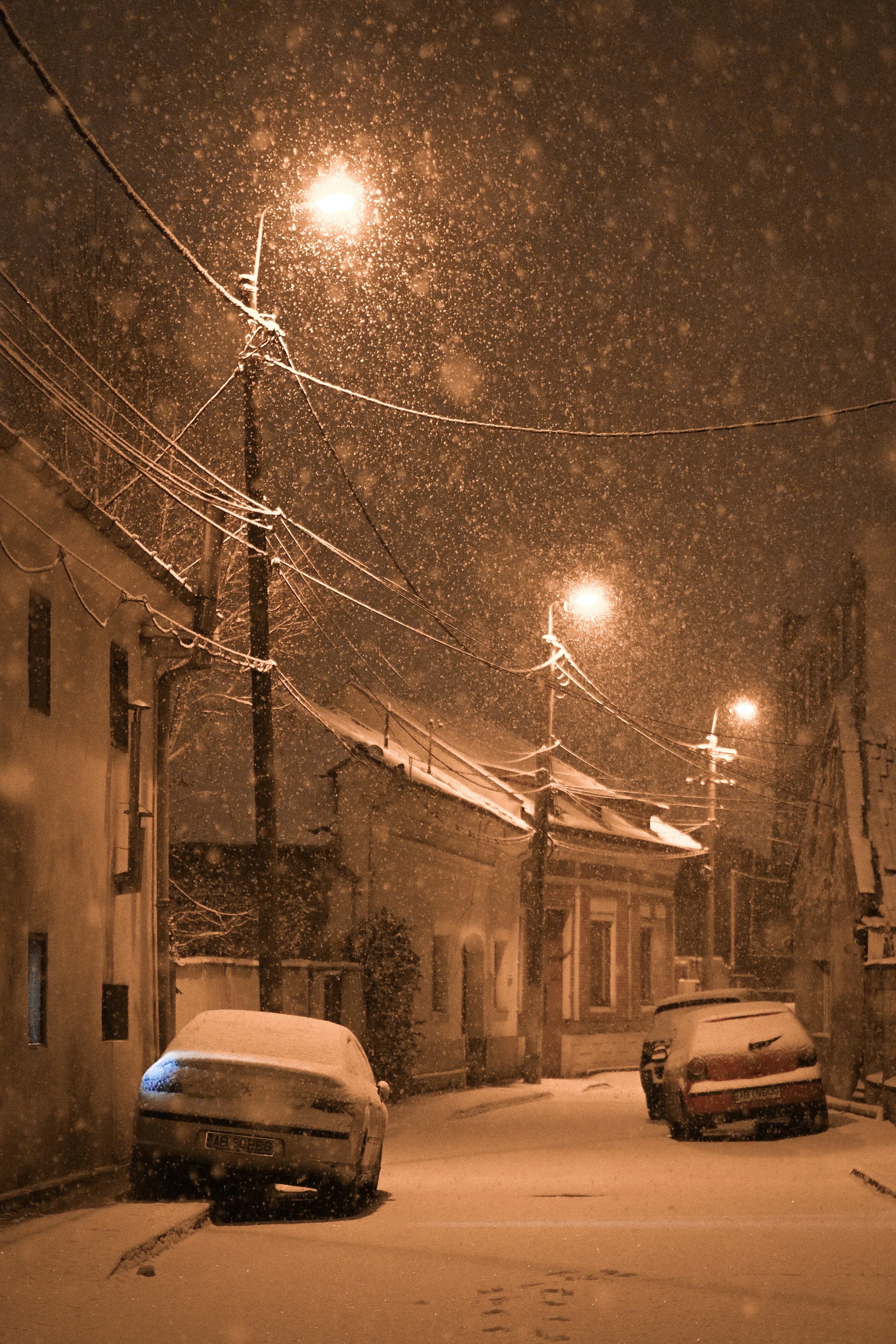 Photo by Lawrence Krowdeed