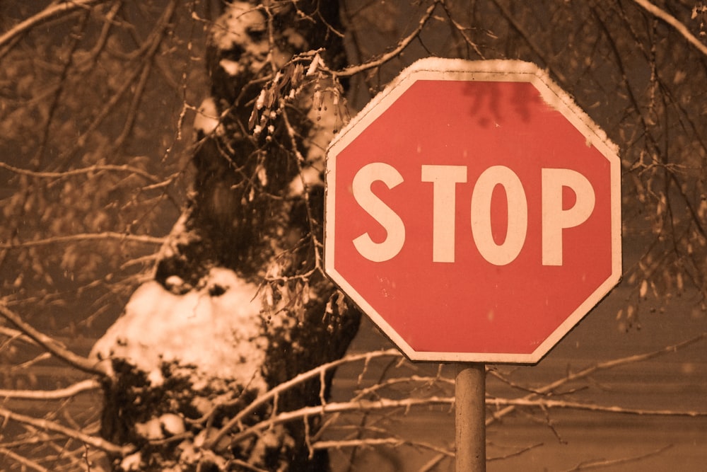 red and white stop sign