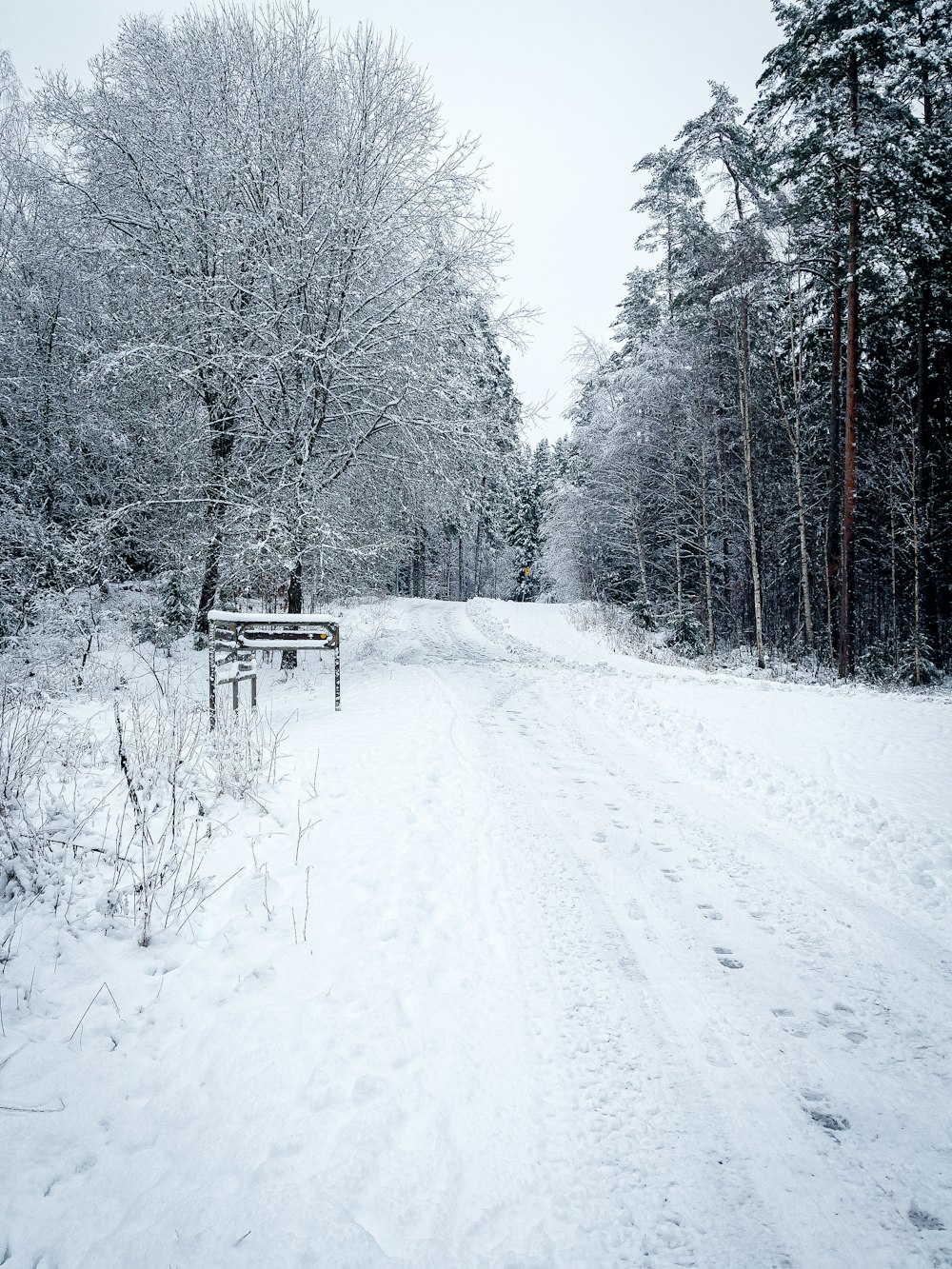 snow covered trees and bench during daytime