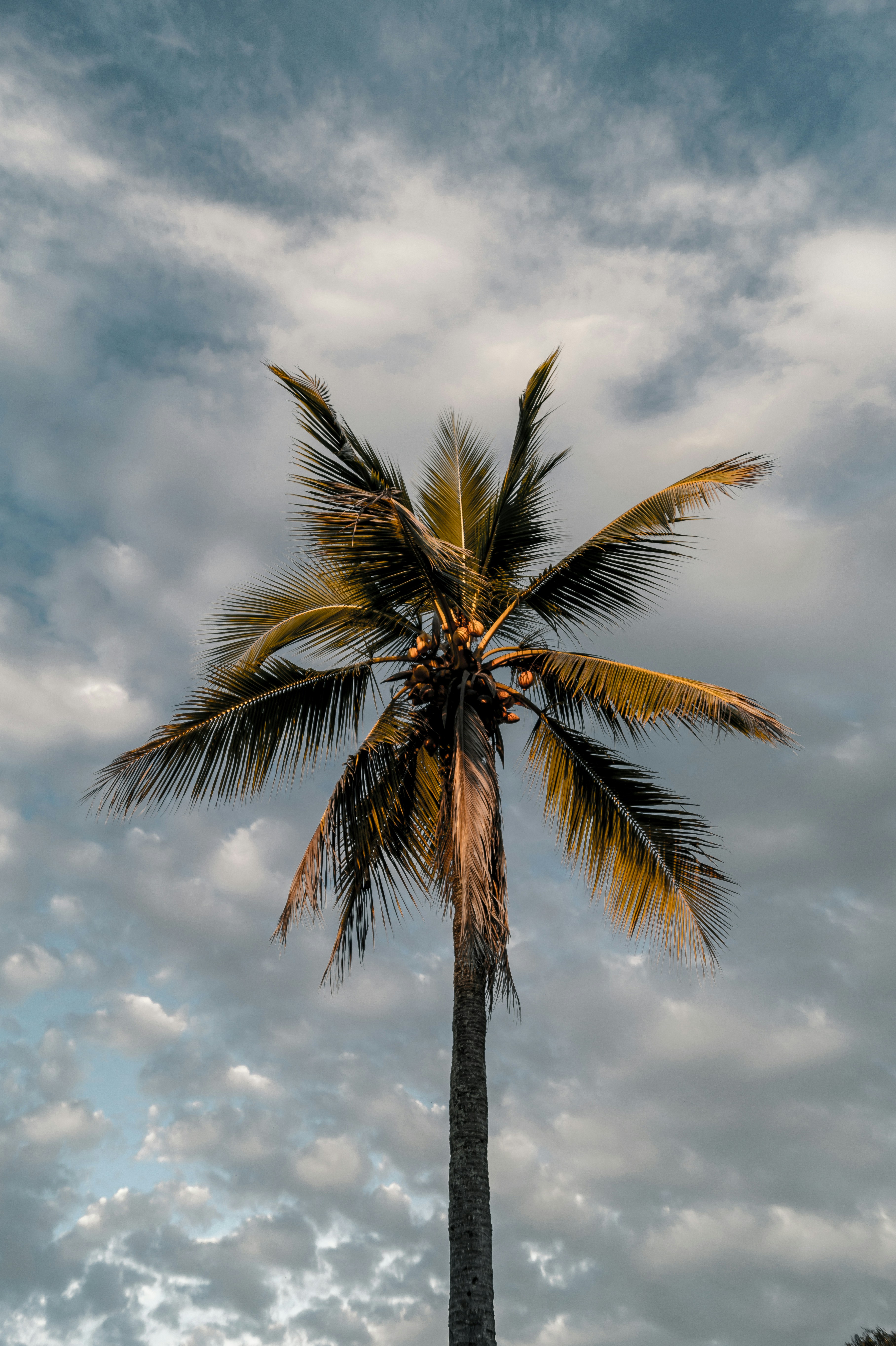 Photo by jmlopezrestrepo