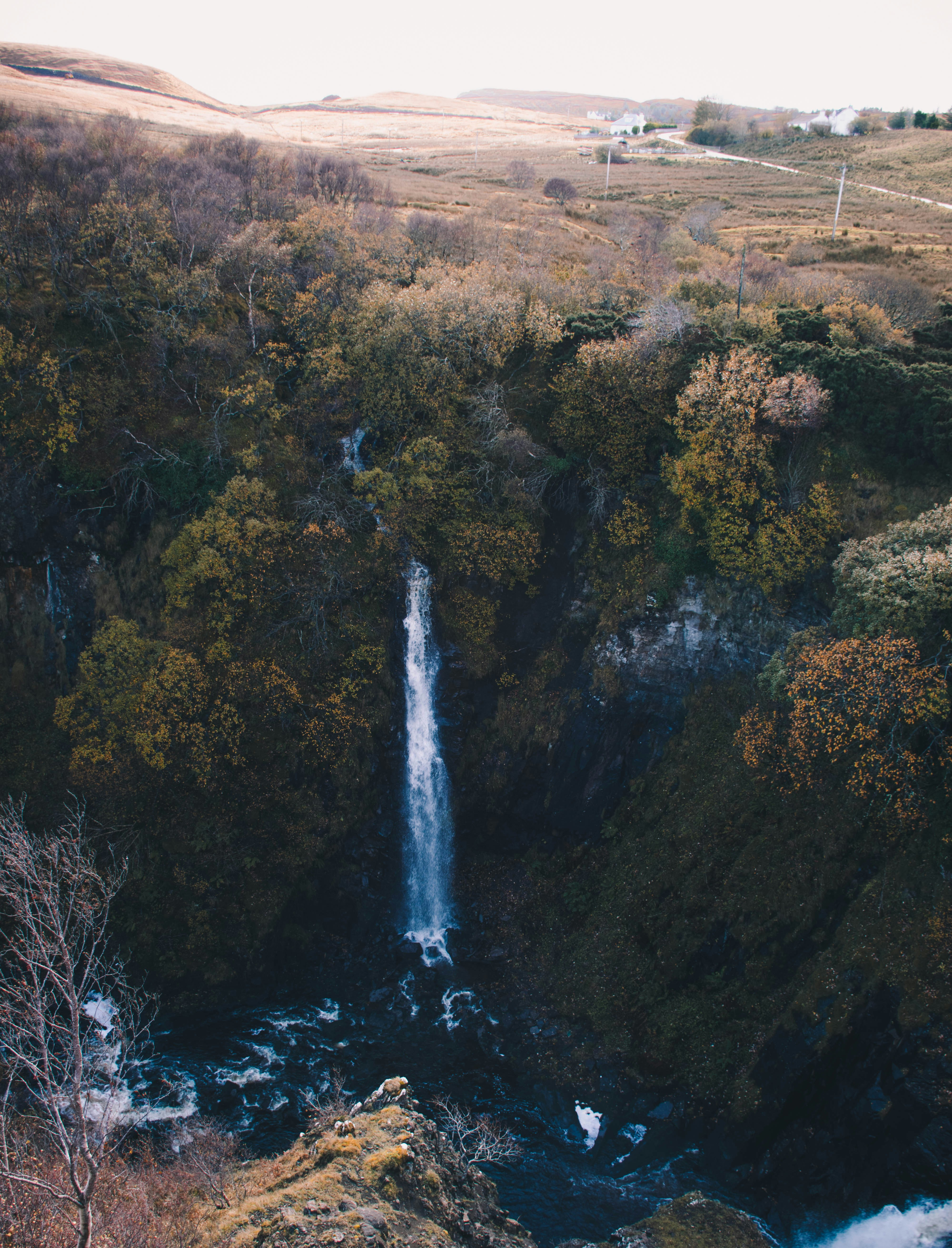 green trees near water falls during daytime