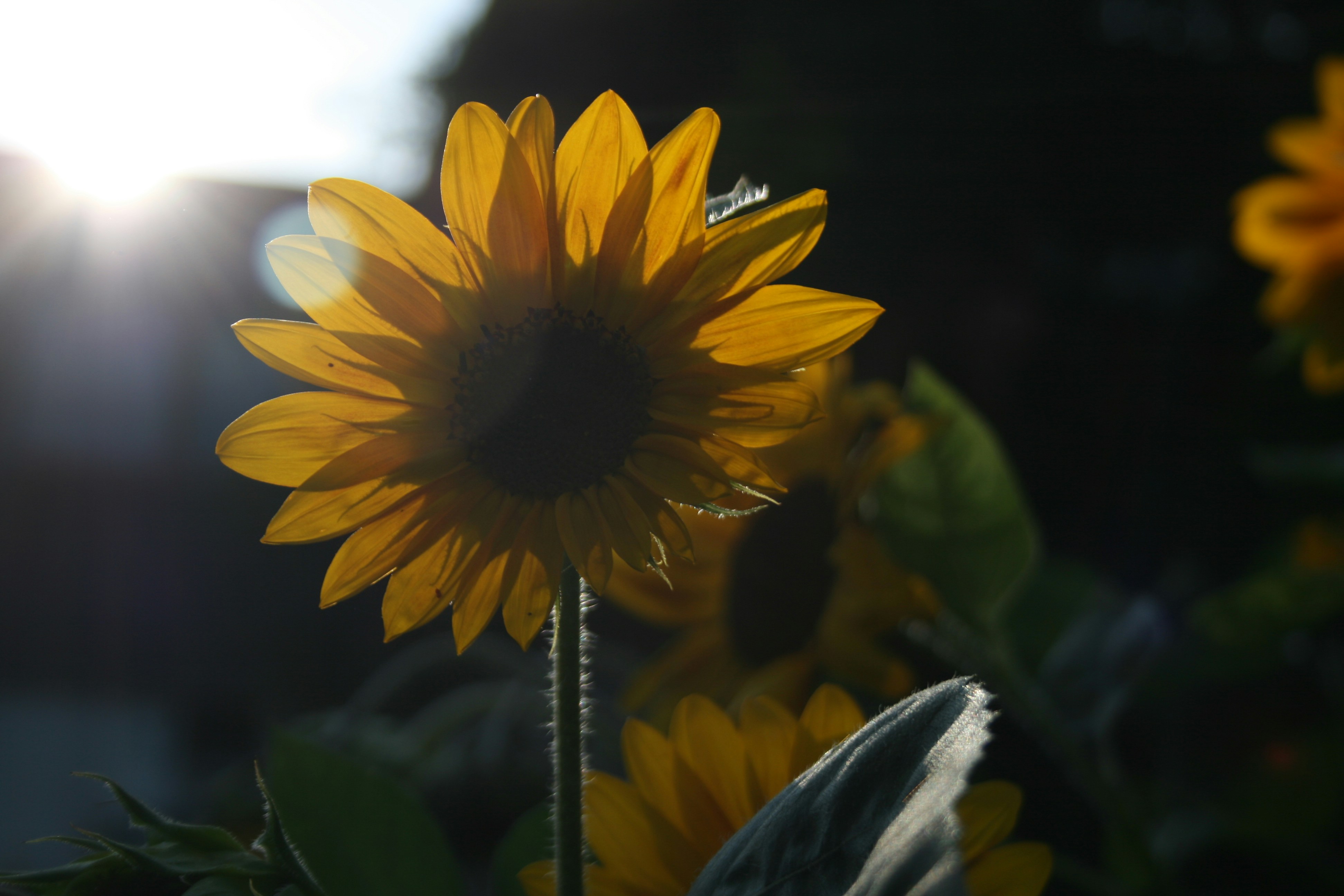 Photo by b_krysztofiak