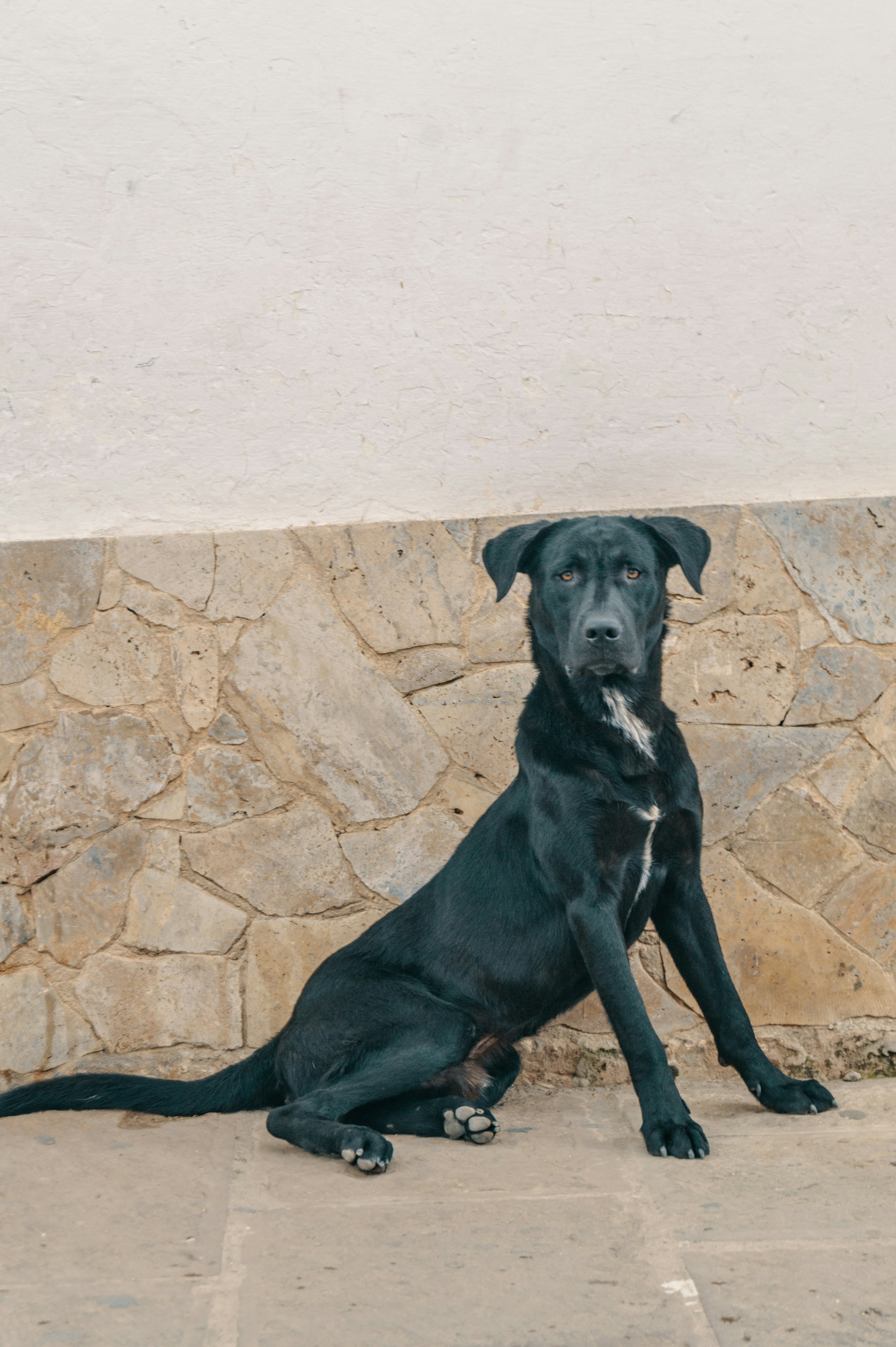 Photo by jmlopezrestrepo