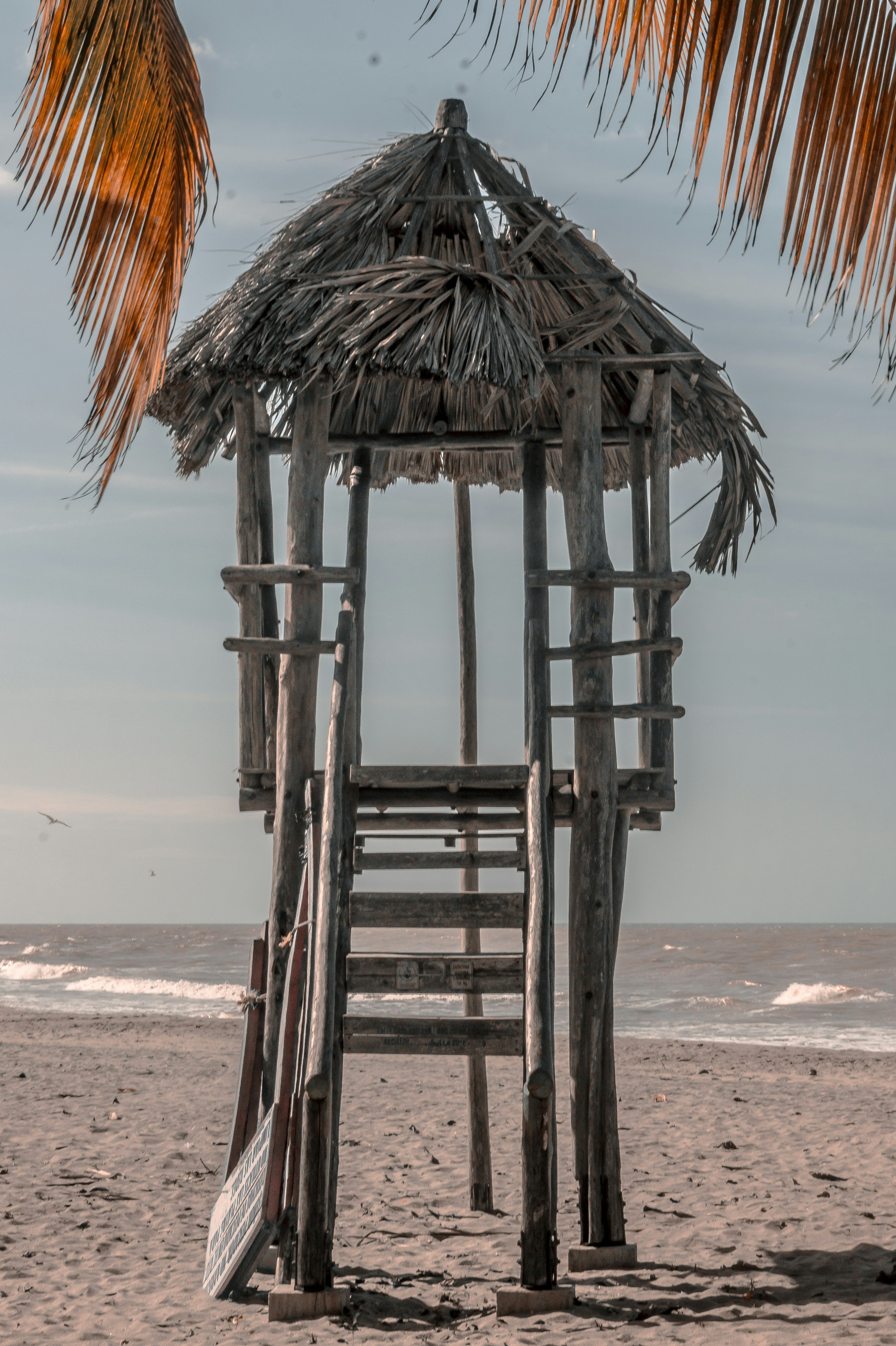 Photo by jmlopezrestrepo