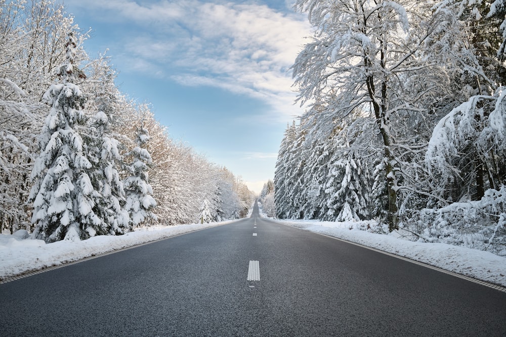 strada asfaltata nera tra alberi coperti di neve sotto cielo blu durante il giorno