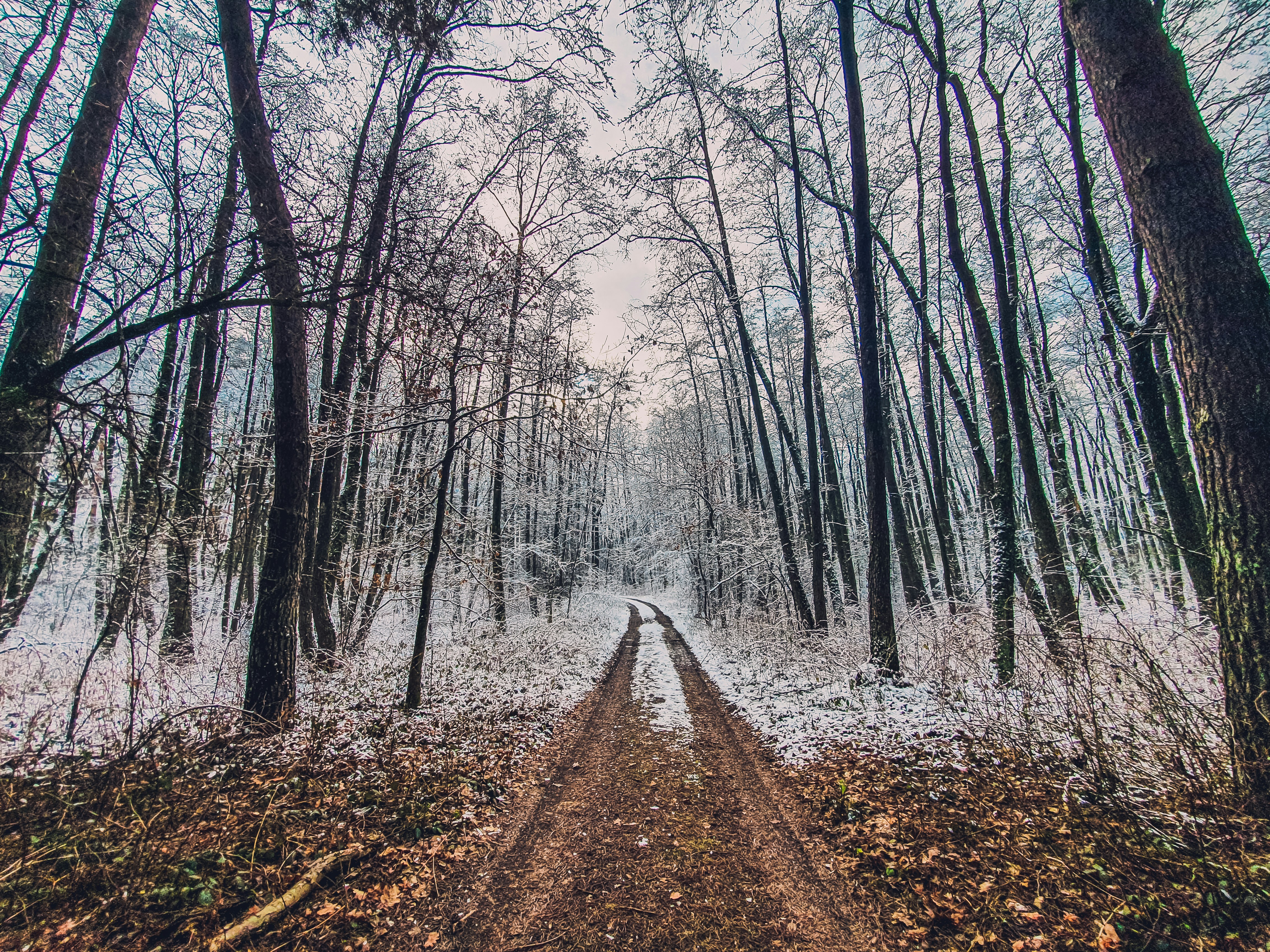 Photo by simo_andries