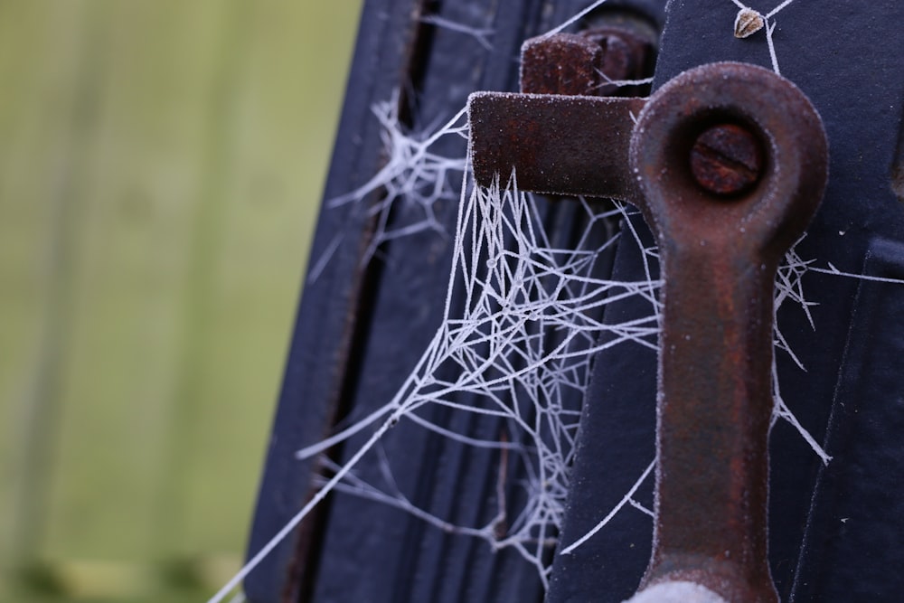 spider web on black wooden fence during daytime
