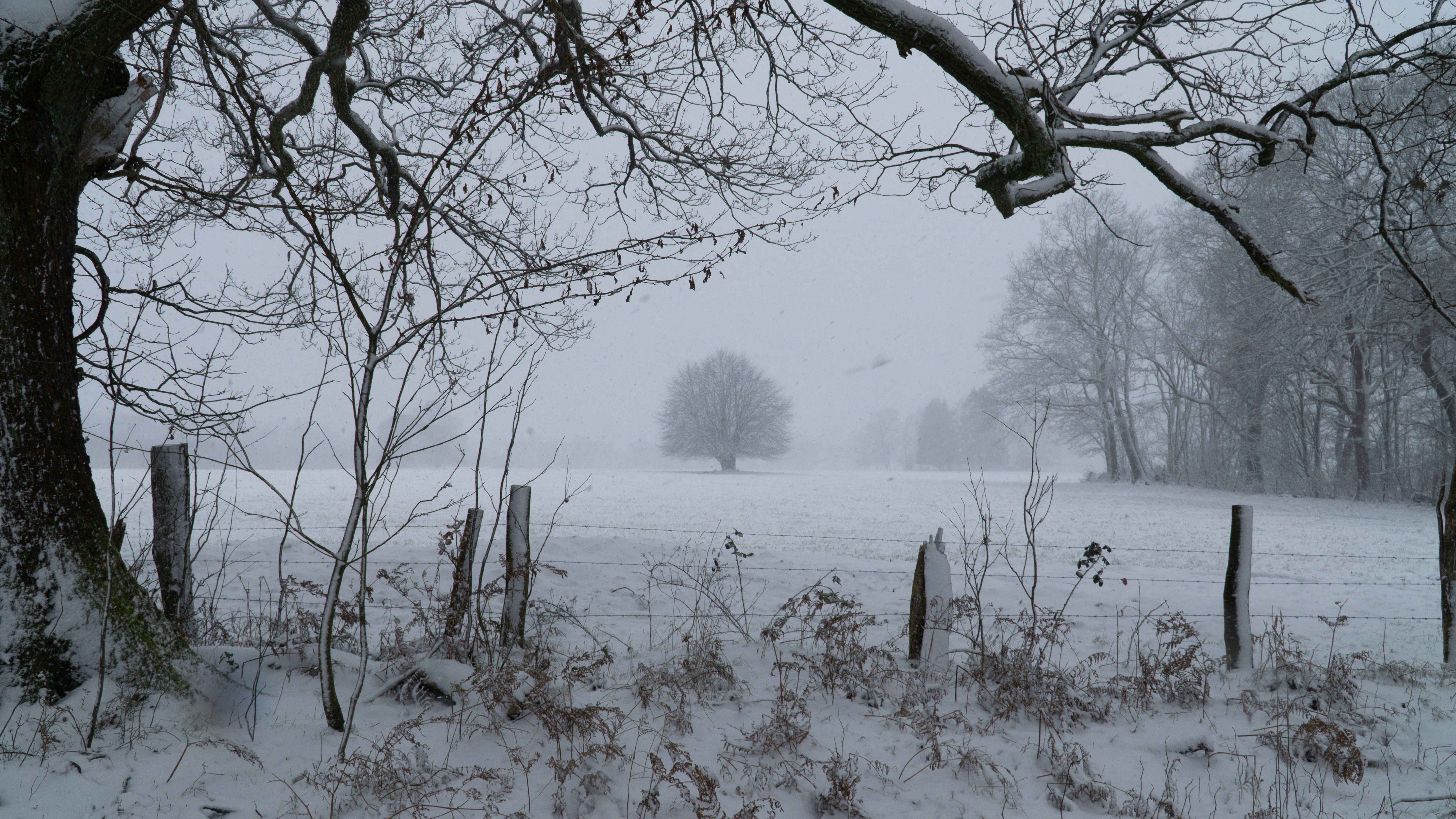 Photo by kumlehnmats