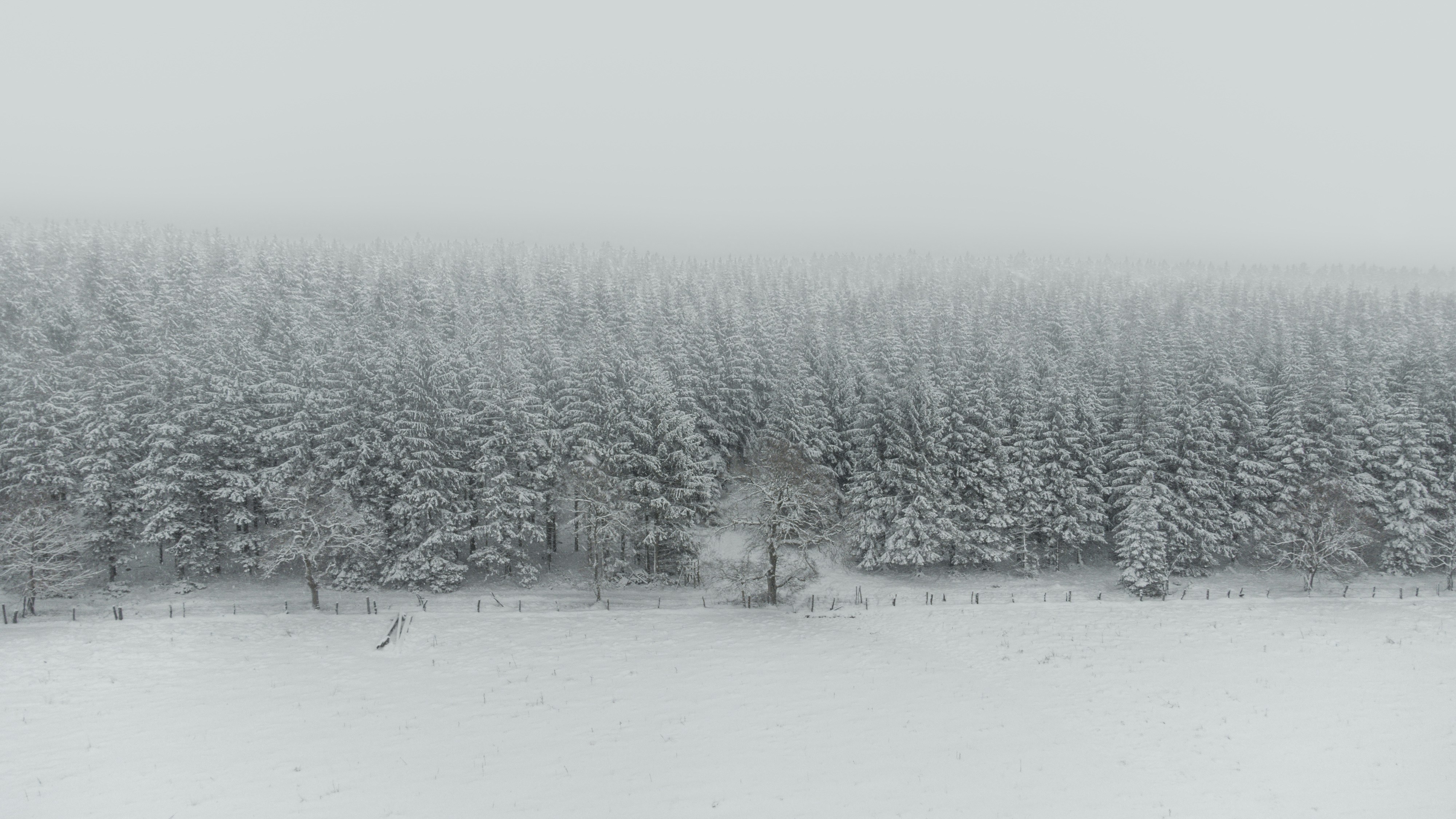 Photo by kumlehnmats