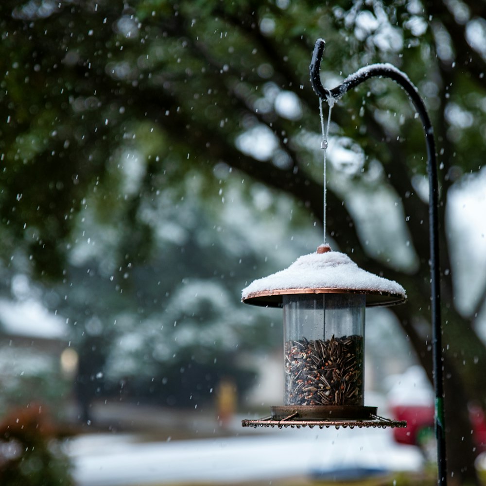 snow covered bird house on snow covered ground during daytime