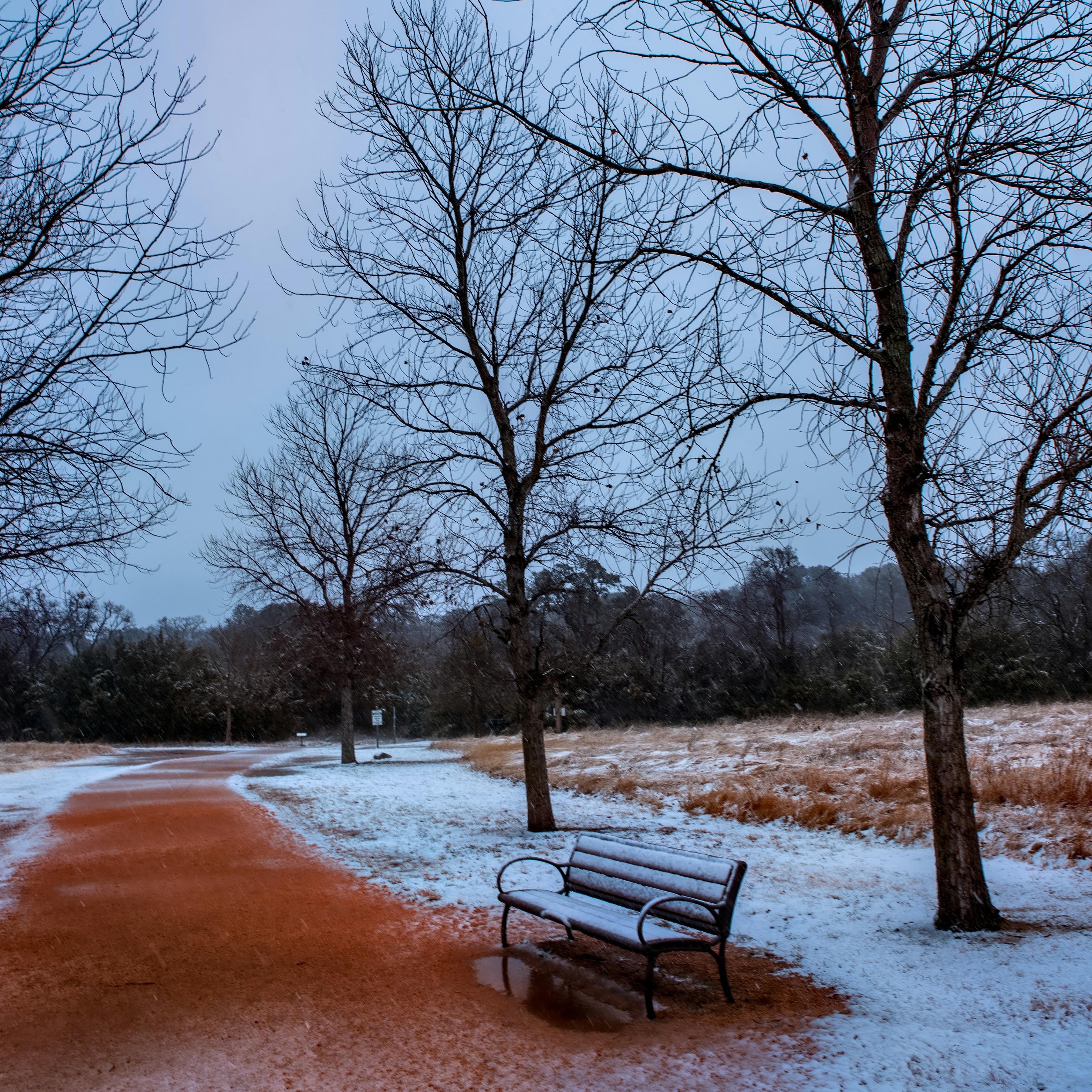 brown wooden bench on brown dirt road during daytime