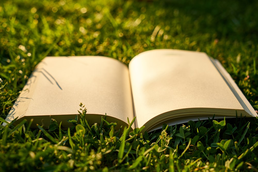 Libro blanco sobre hierba verde durante el día