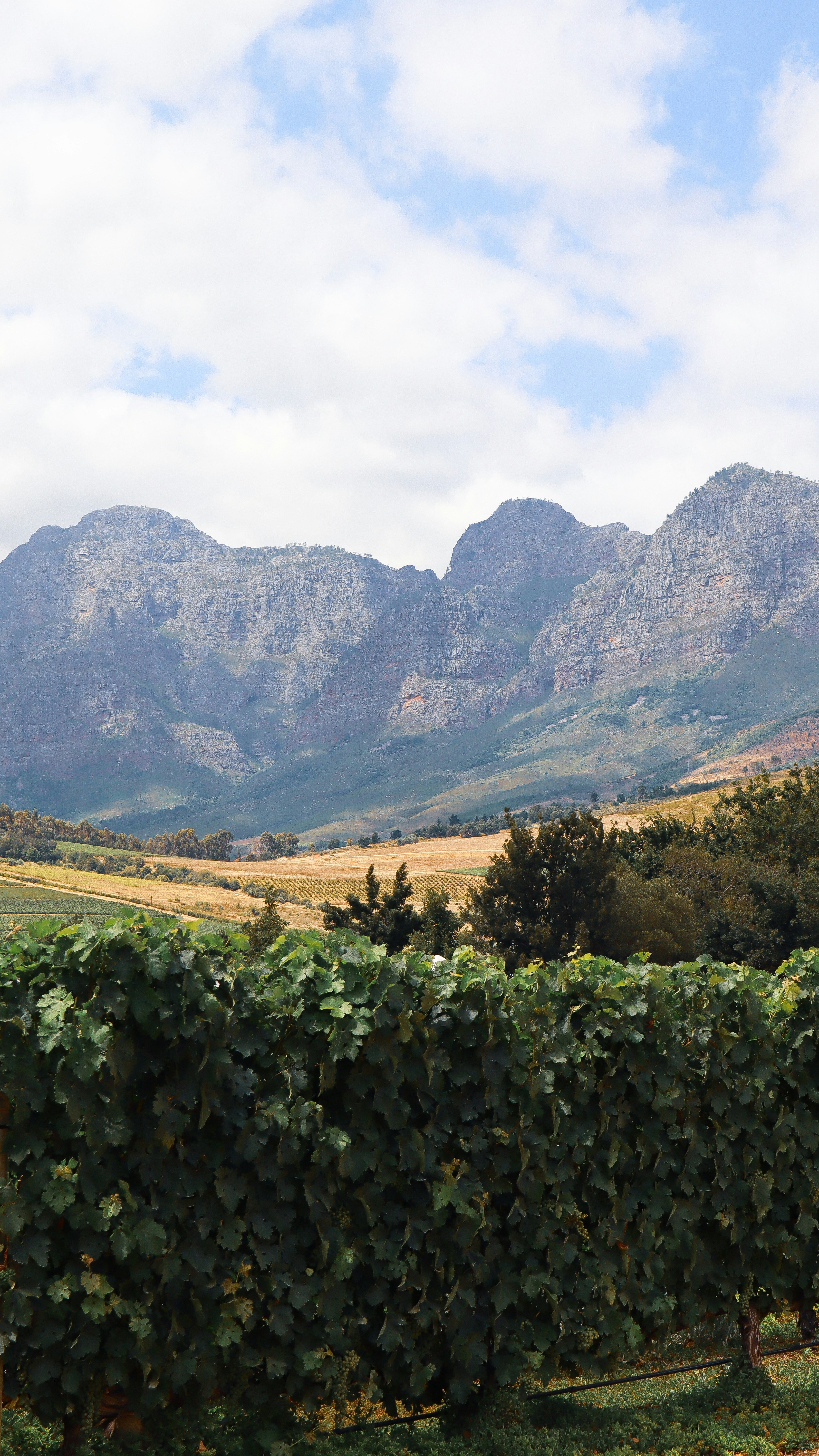 Day 4: Alazani Valley Wineries and Monastery Trails