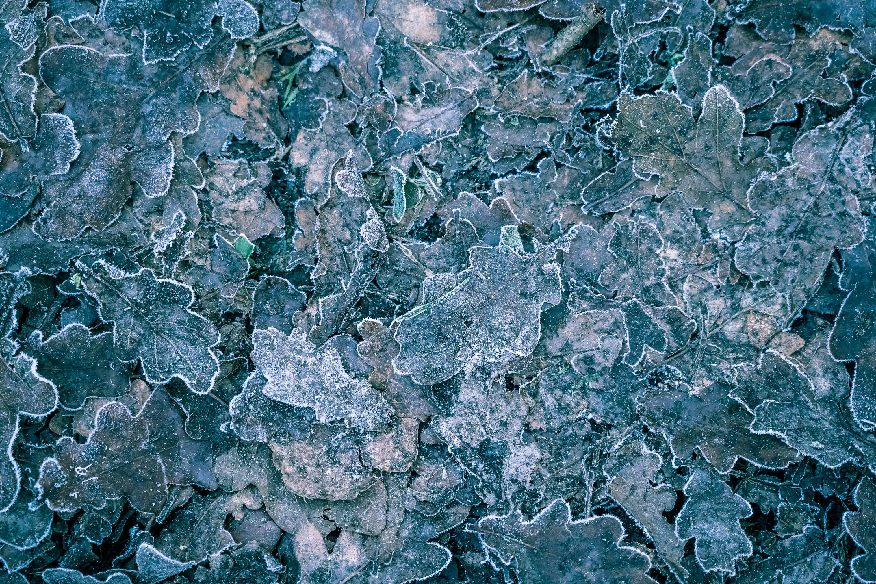 Photo by jannerboy62