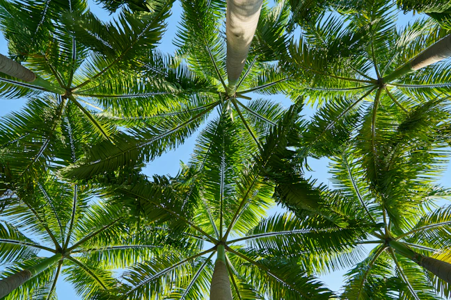 3-Day Family Guide to Siargao | Kid-Friendly Itinerary