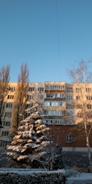 A tall apartment building is set against a clear blue sky, with sunlight casting warm tones on its facade. In front, snow-covered trees and bushes line a brick wall, creating a serene winter scene. Sparse leaves are visible on some of the trees, indicating late autumn or early winter.
