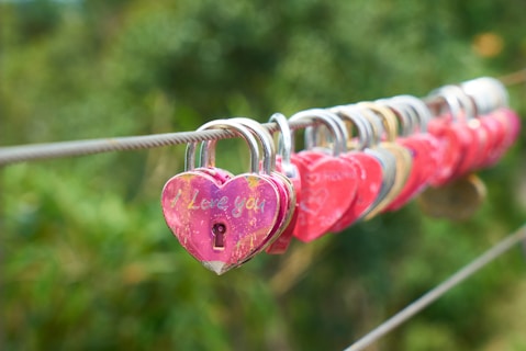 red and gold padlock on gray metal wire