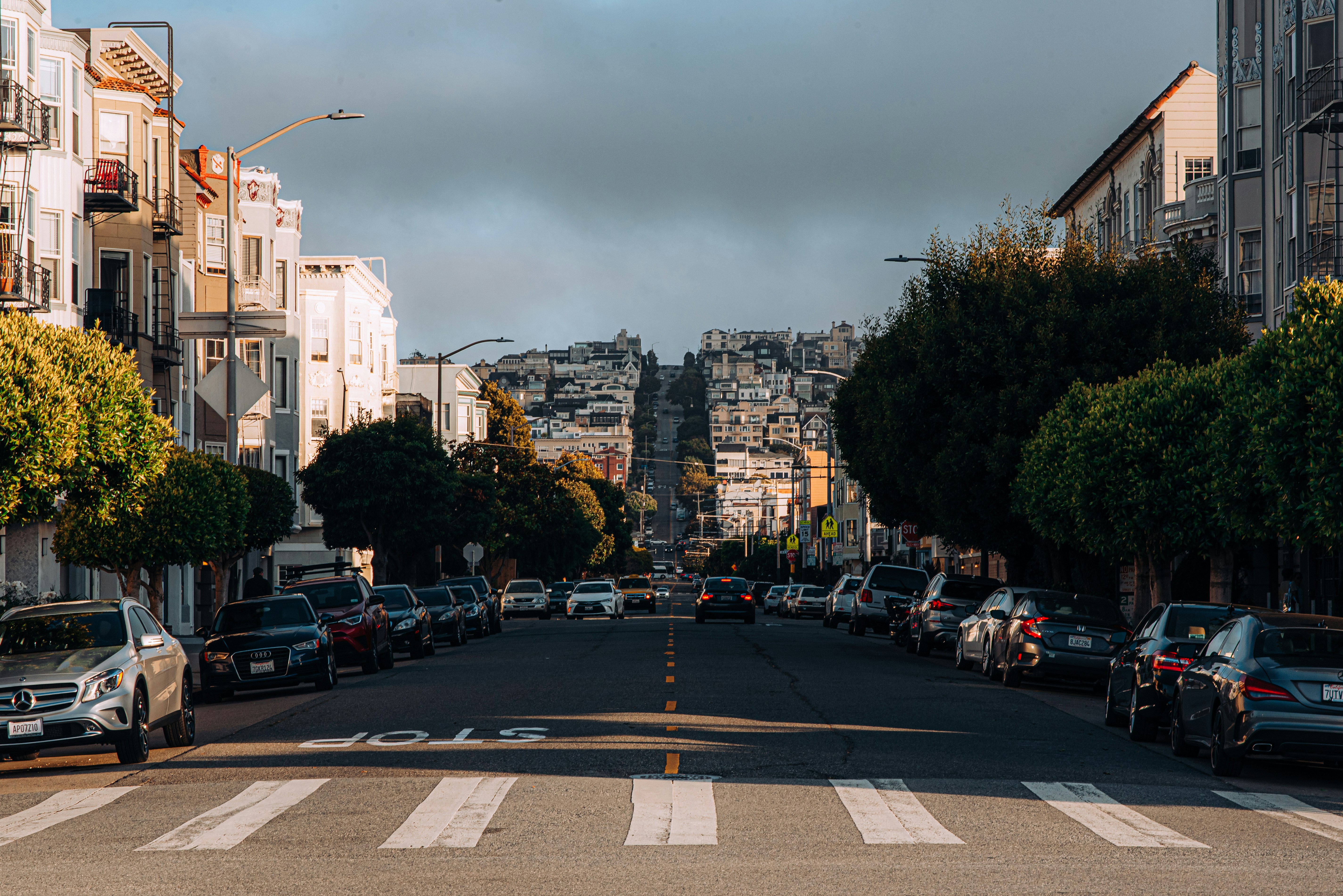 Photo by fernthephotographer