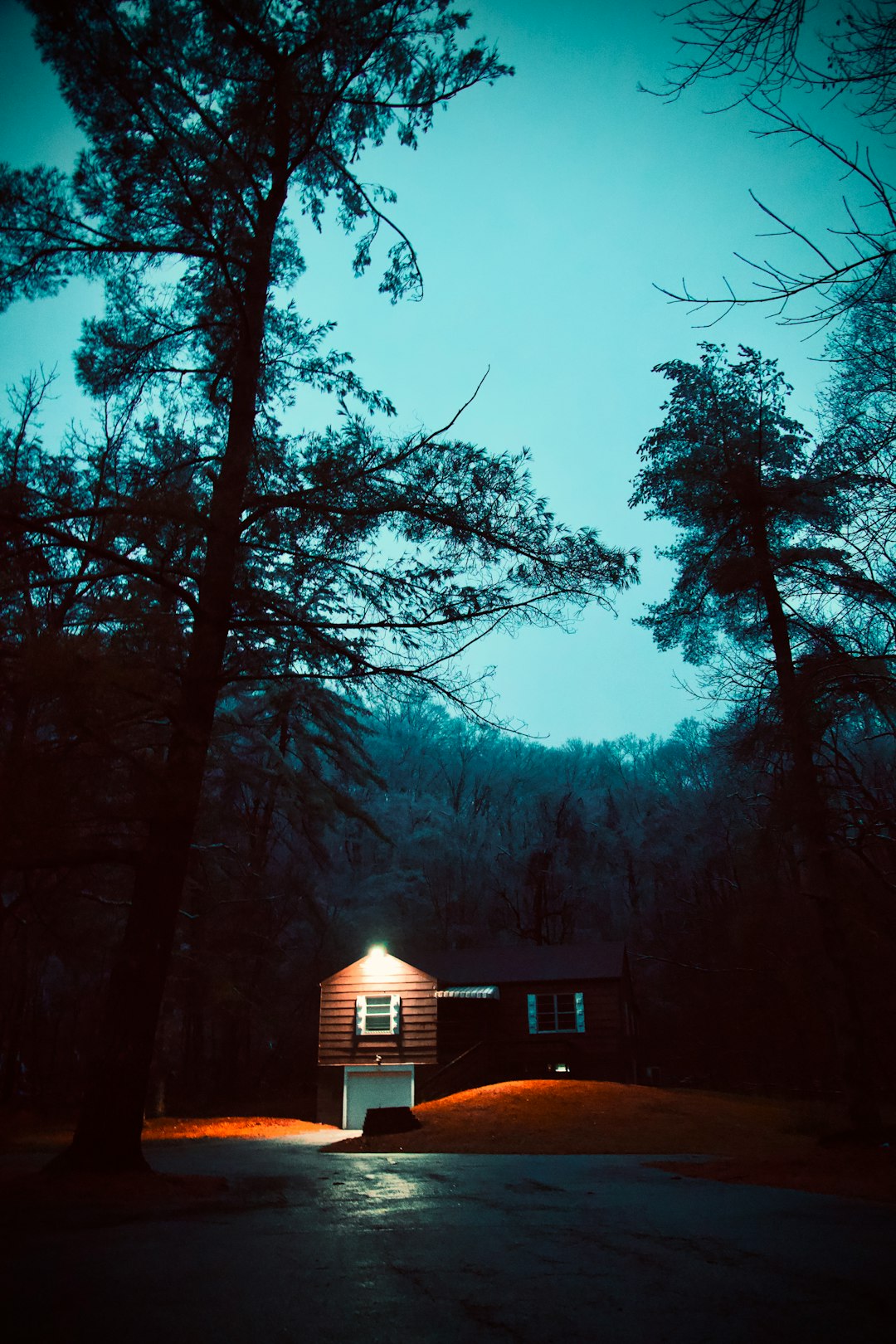 white and brown house near trees during night time