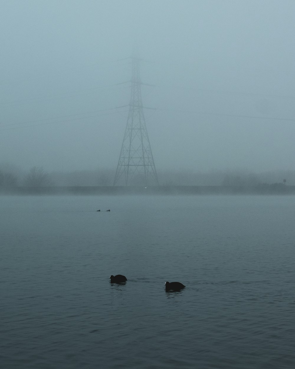 body of water near bridge during daytime