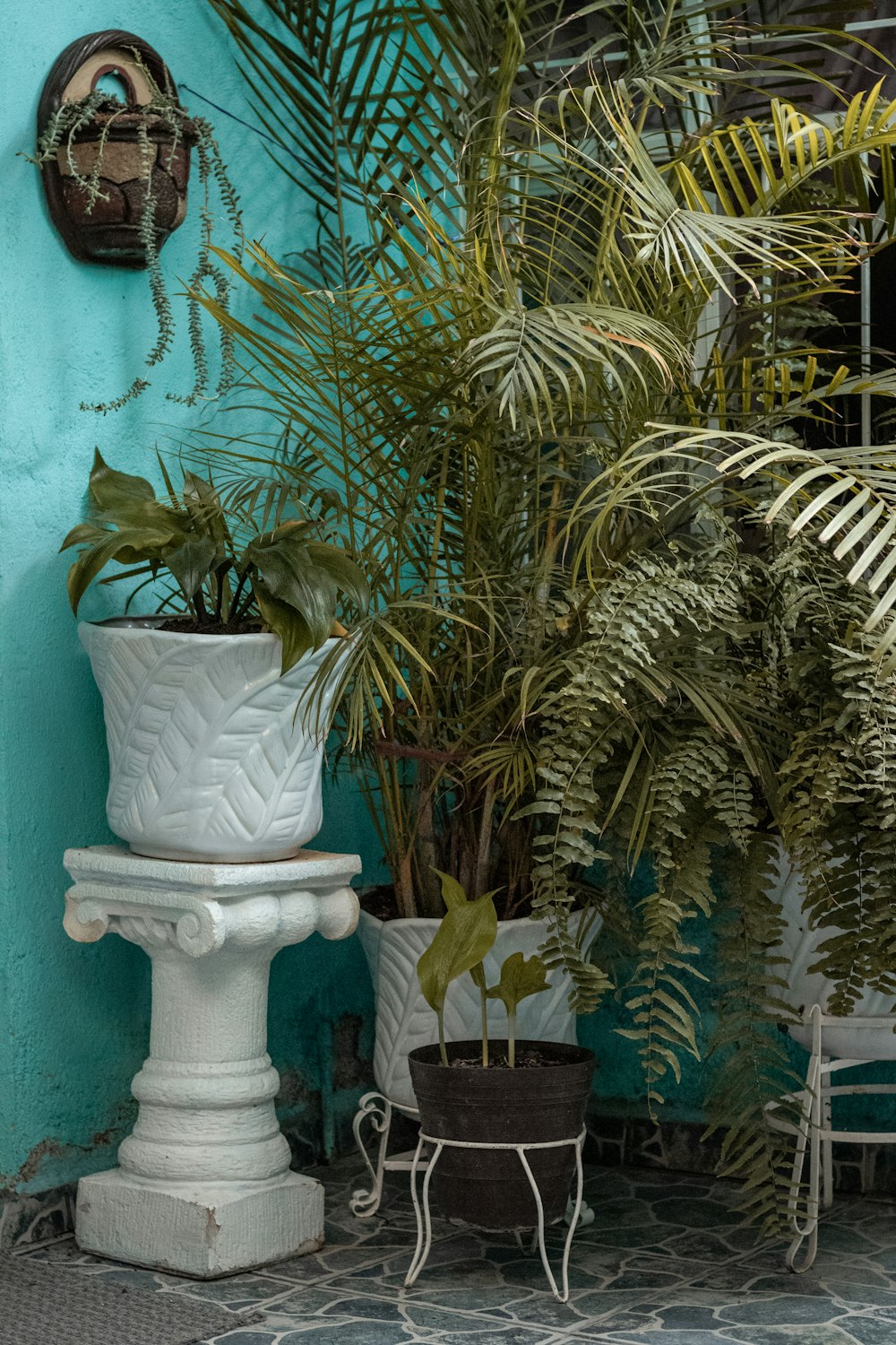 grüne Palmenpflanze auf weißem Keramiktopf