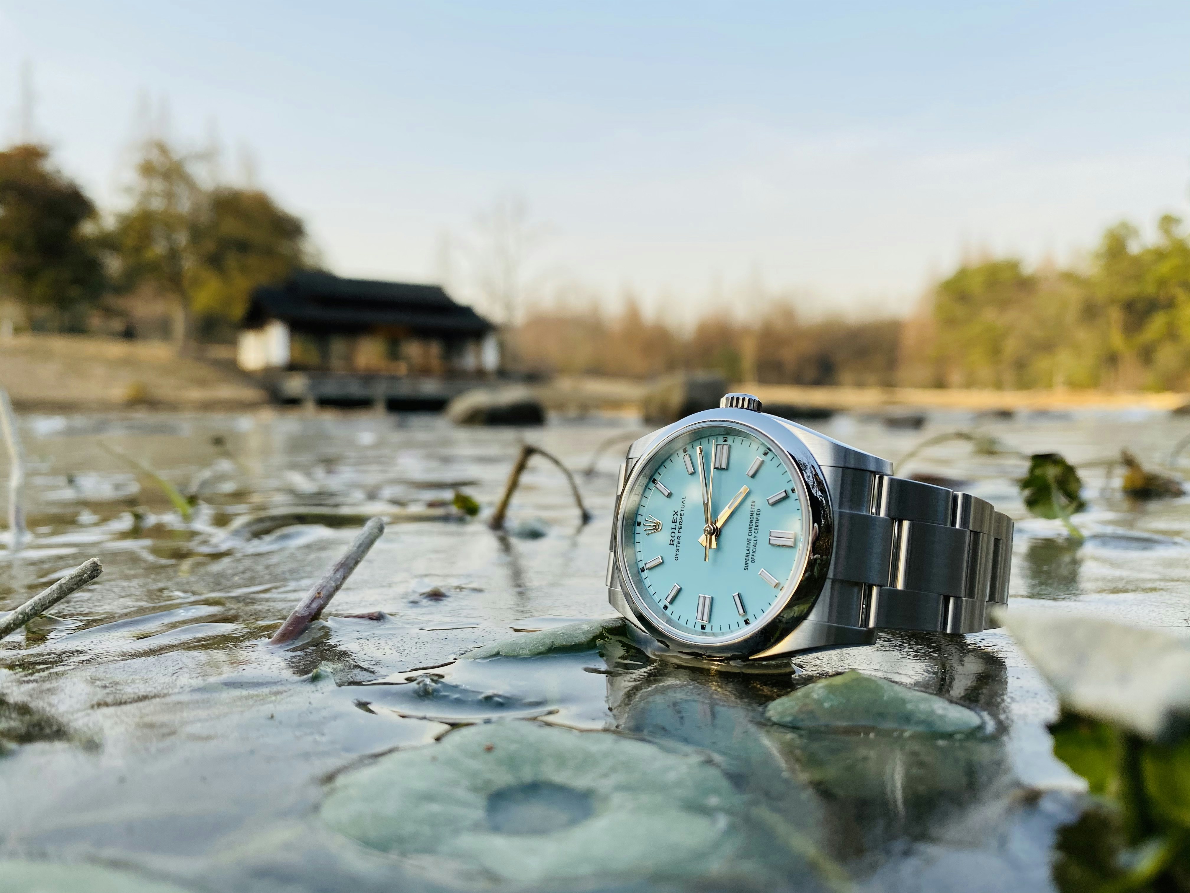 9 Affordable Moissanite Watch Repairs You Can Do at Home