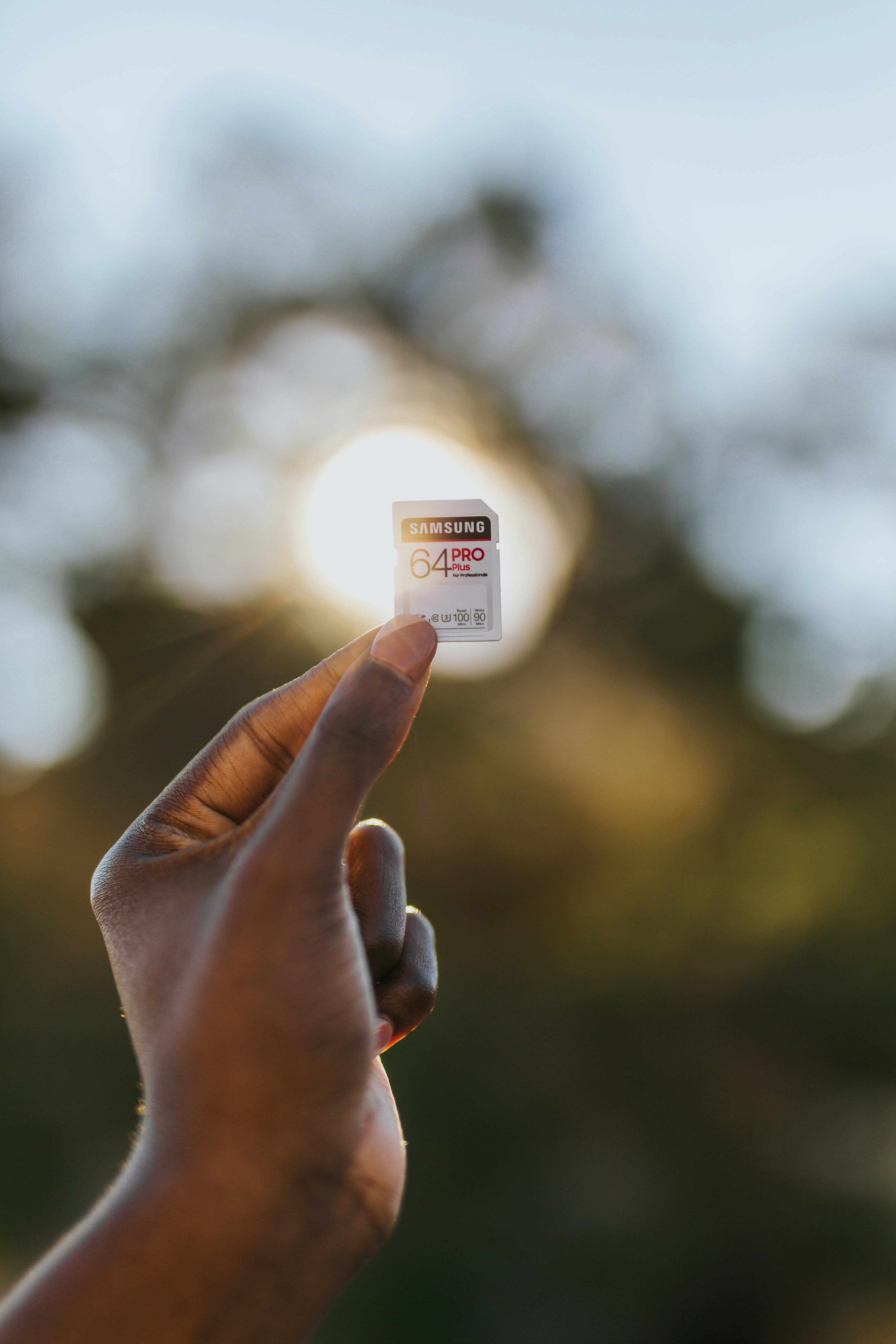 Photo by samsungmemory