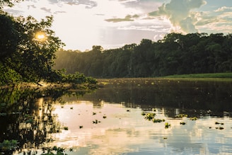 Lago