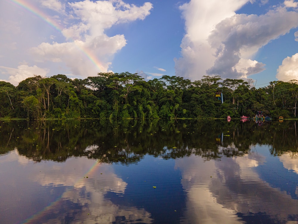 árboles verdes al lado del cuerpo de agua bajo el cielo azul y las nubes blancas durante el día