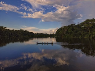 body of water near green trees under blue sky and white clouds during daytime