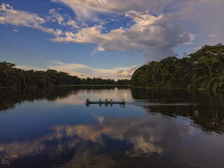 Still water at the edge of the rainforest