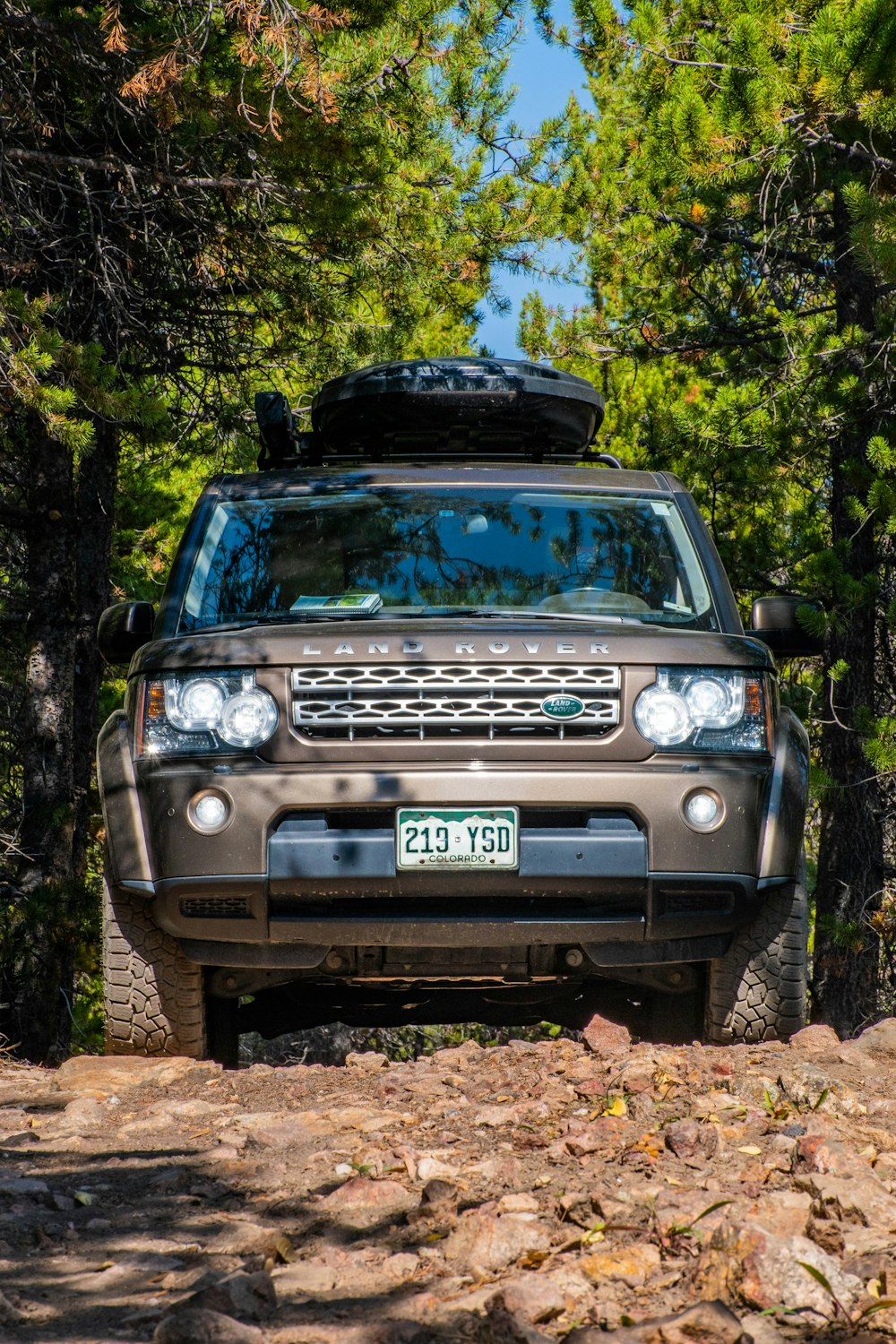 black ford suv parked near green trees during daytime