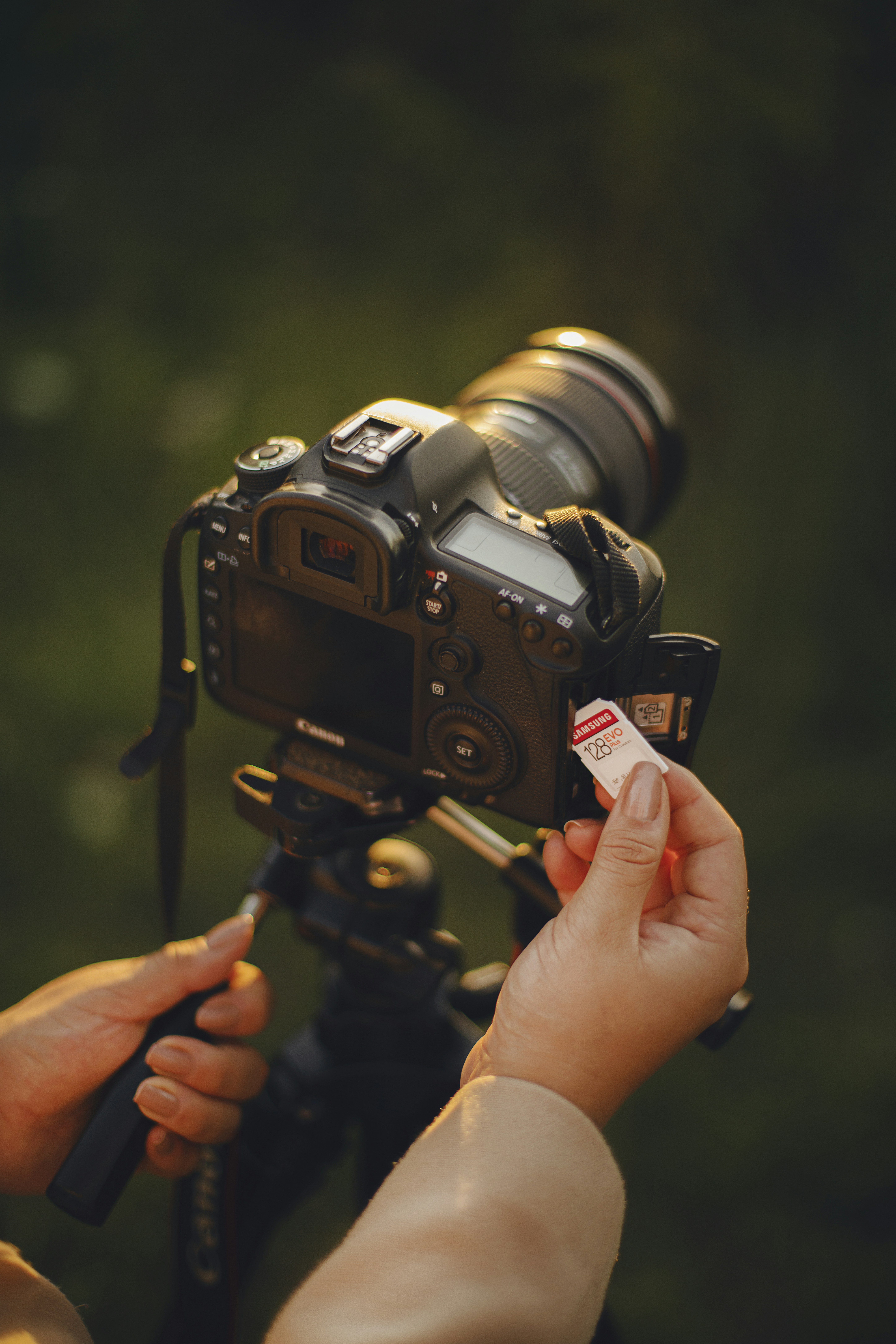 Photo by samsungmemory